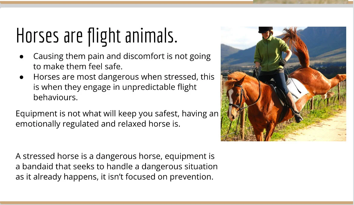 6A26E797-0B99-457F-94E5-749D15007990