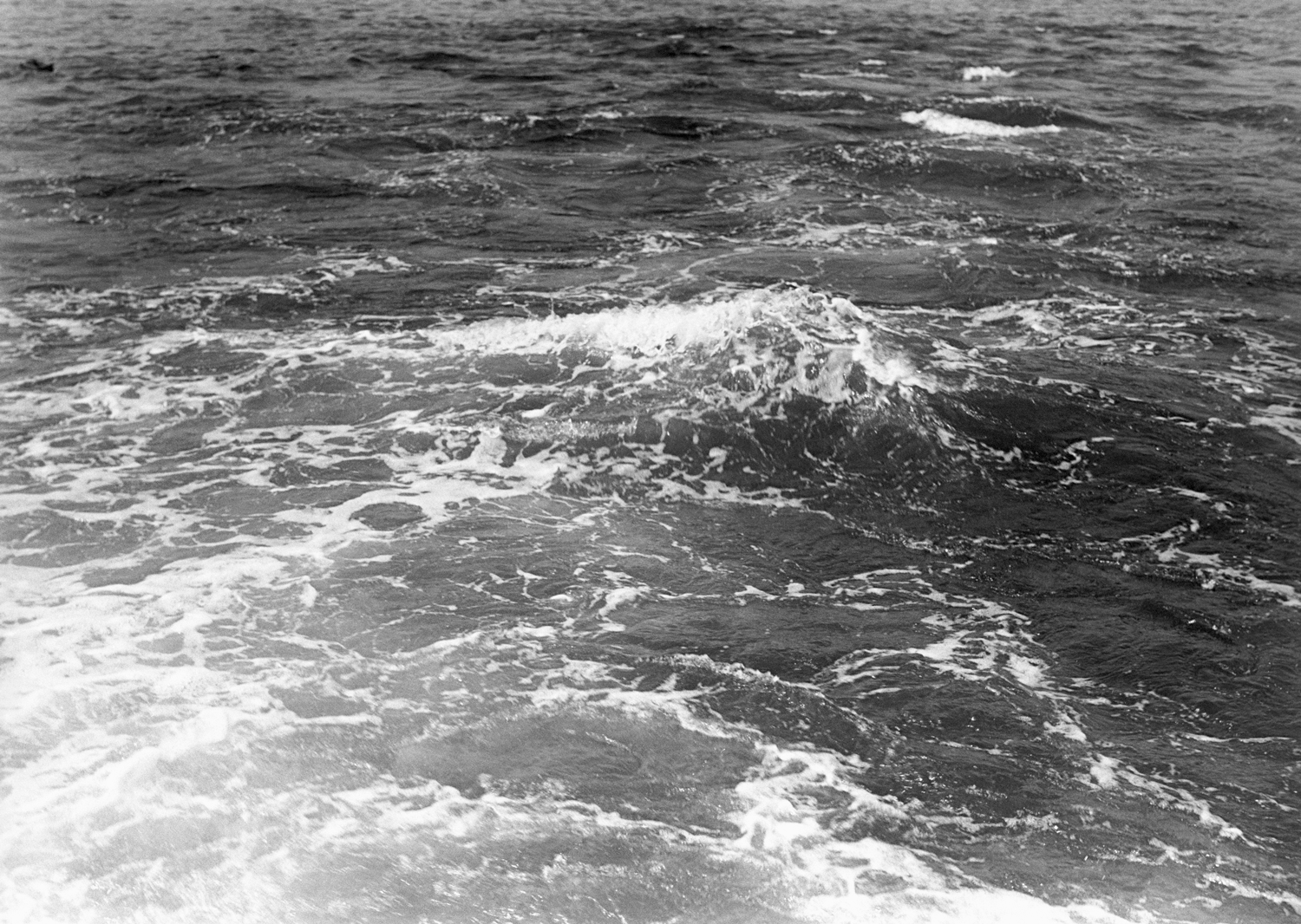 ocean.png