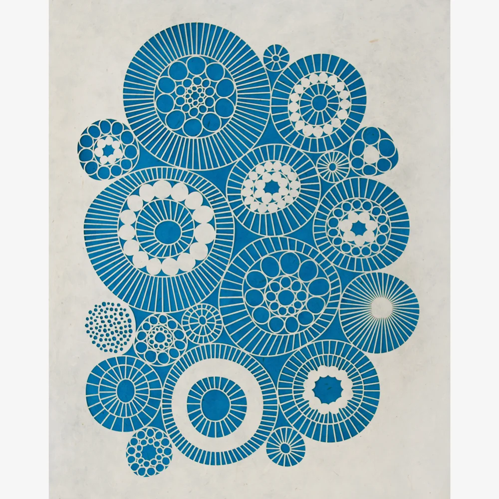 diatoms_a.jpg