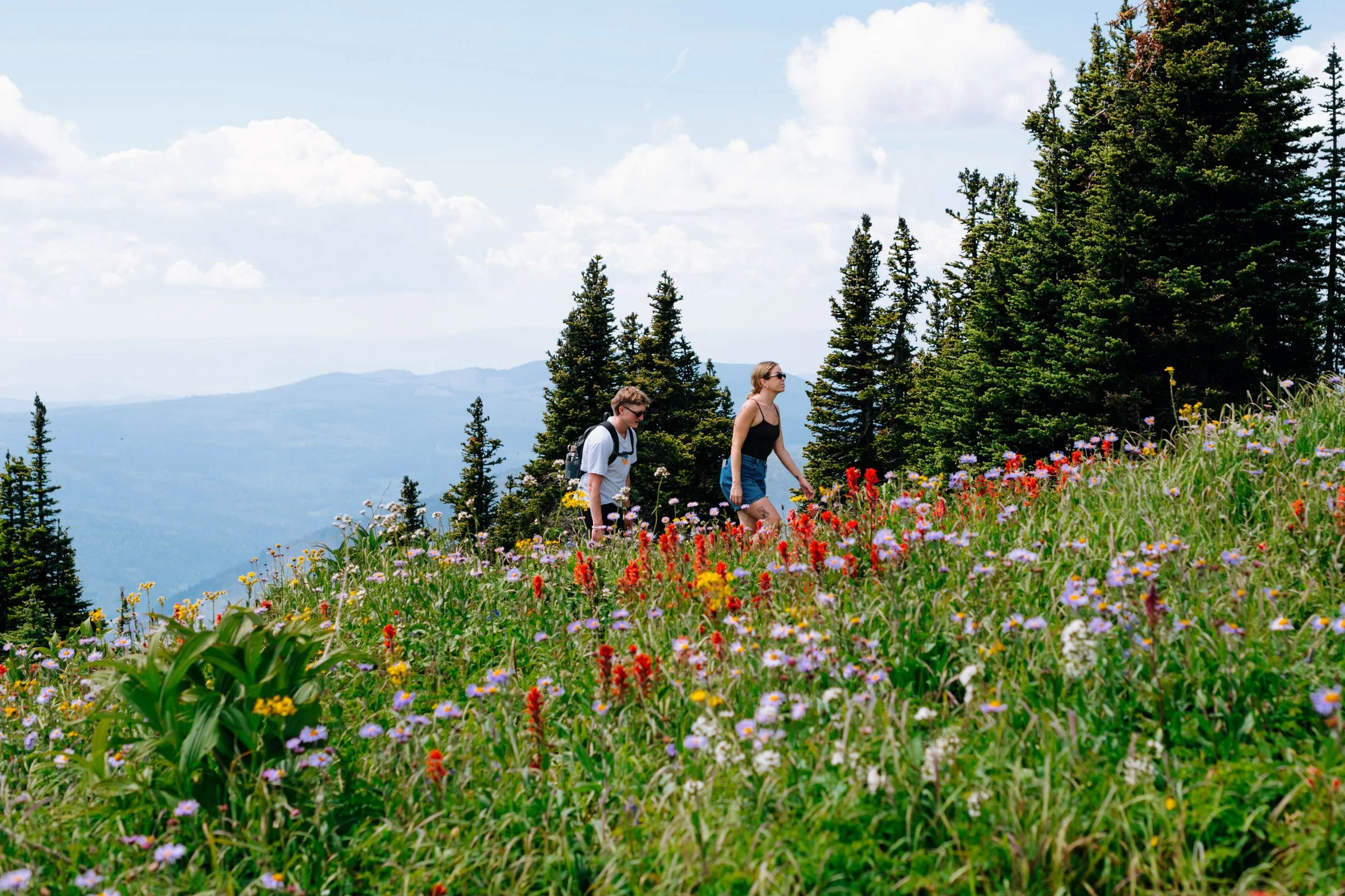 23-TSP Alpine Flower Hike 2025-16.jpg