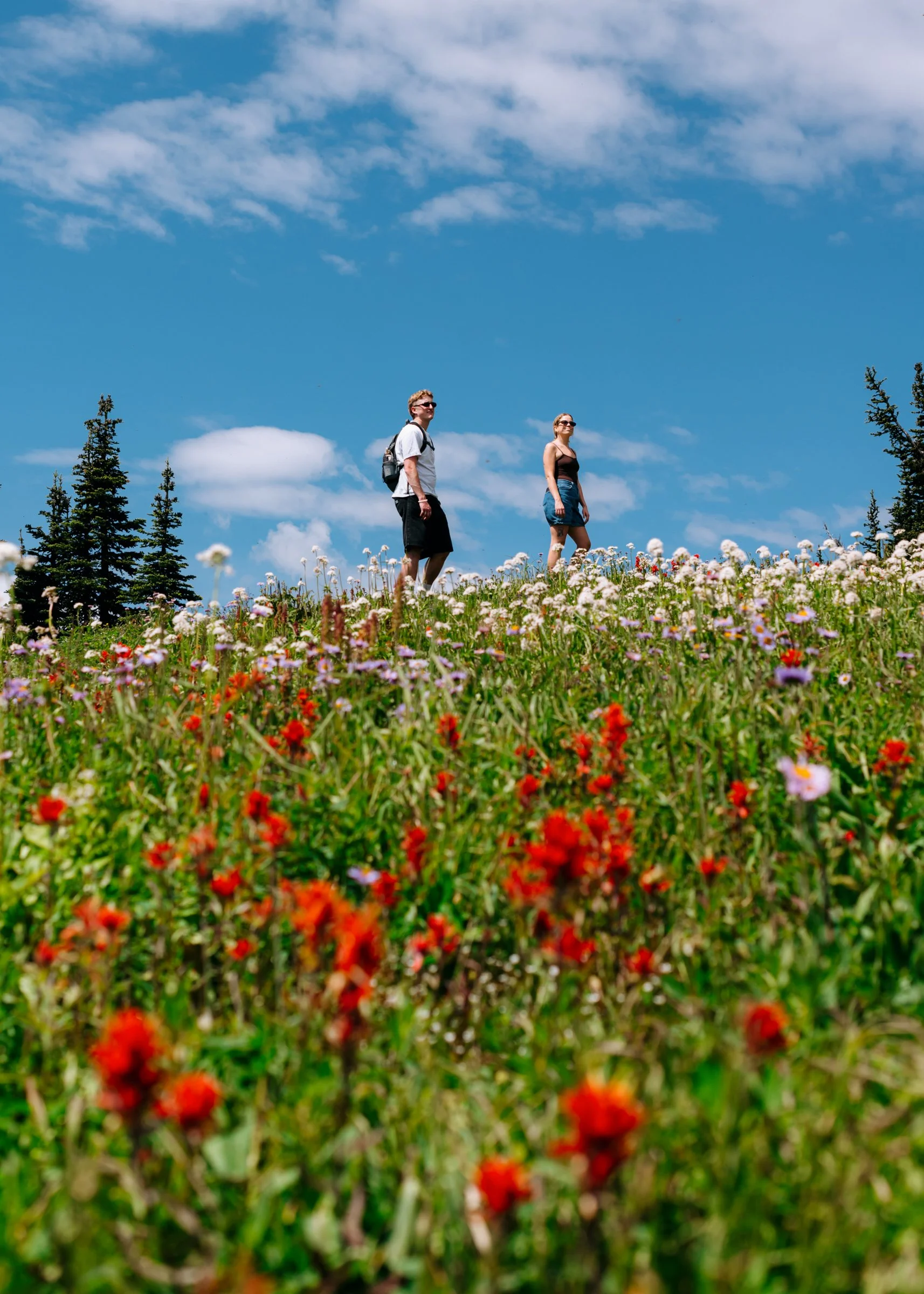 23-TSP Alpine Flower Hike 2025-21.jpg