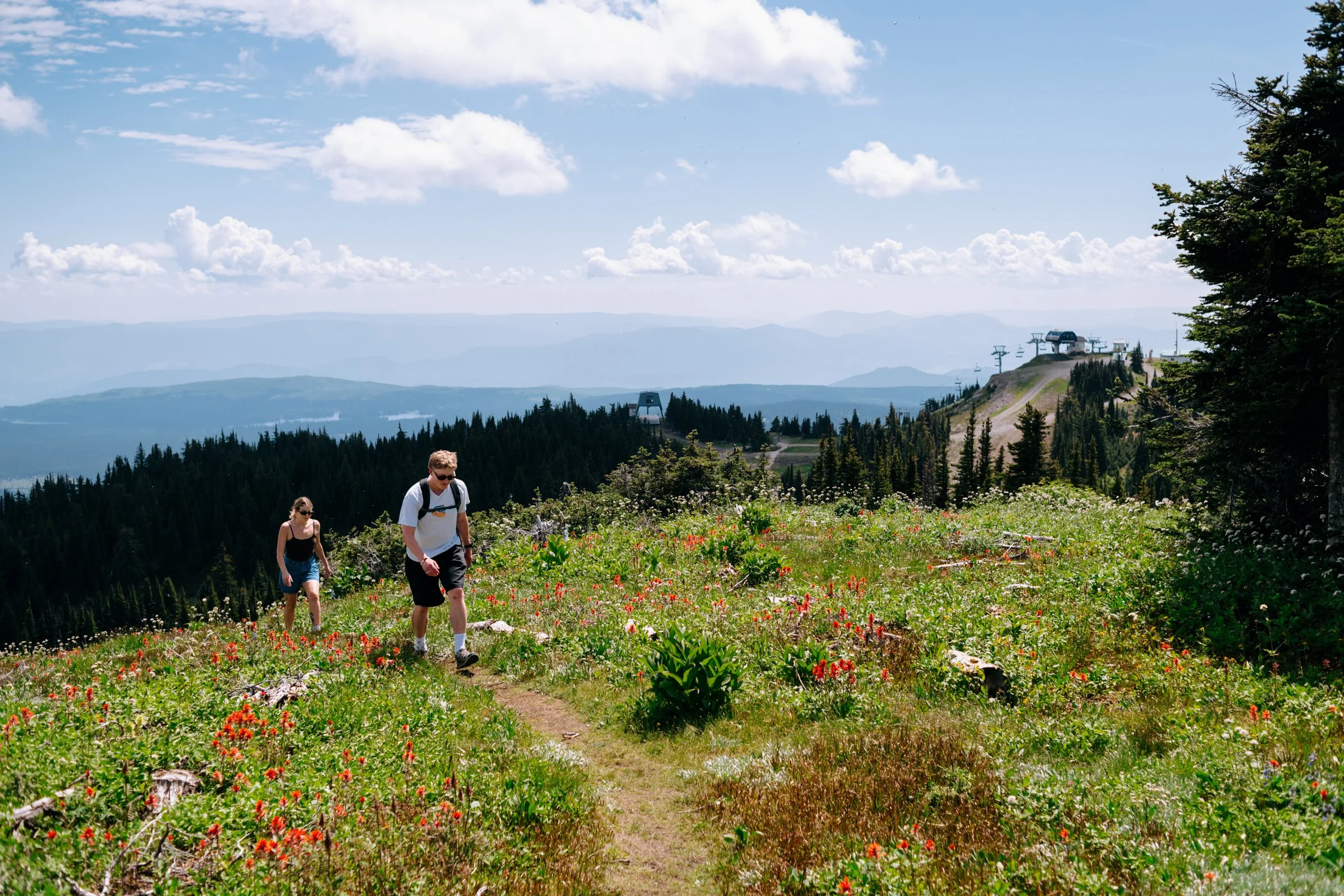 23-TSP Alpine Flower Hike 2025-30.jpg