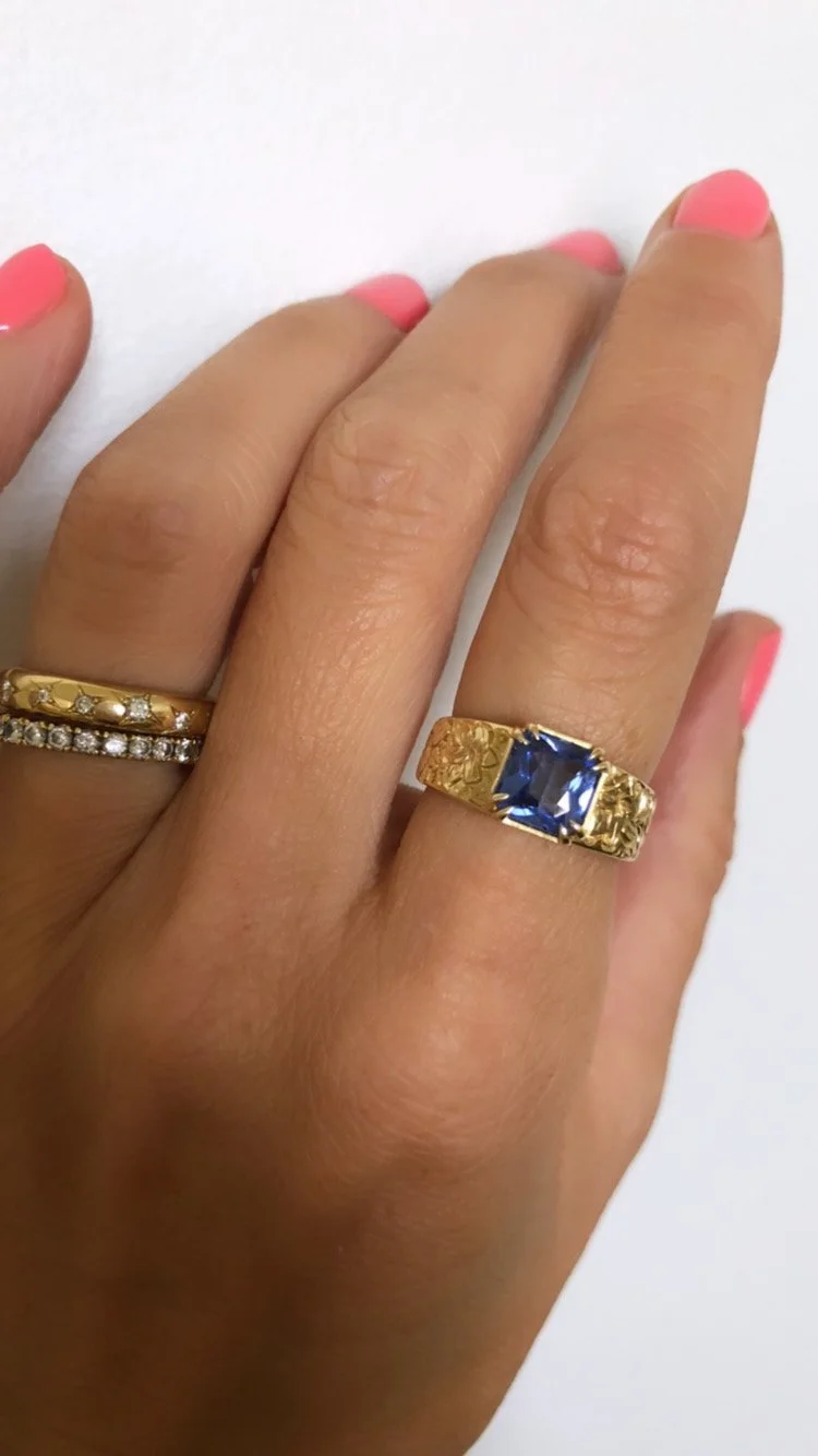 Ginger worn on pointer.JPG