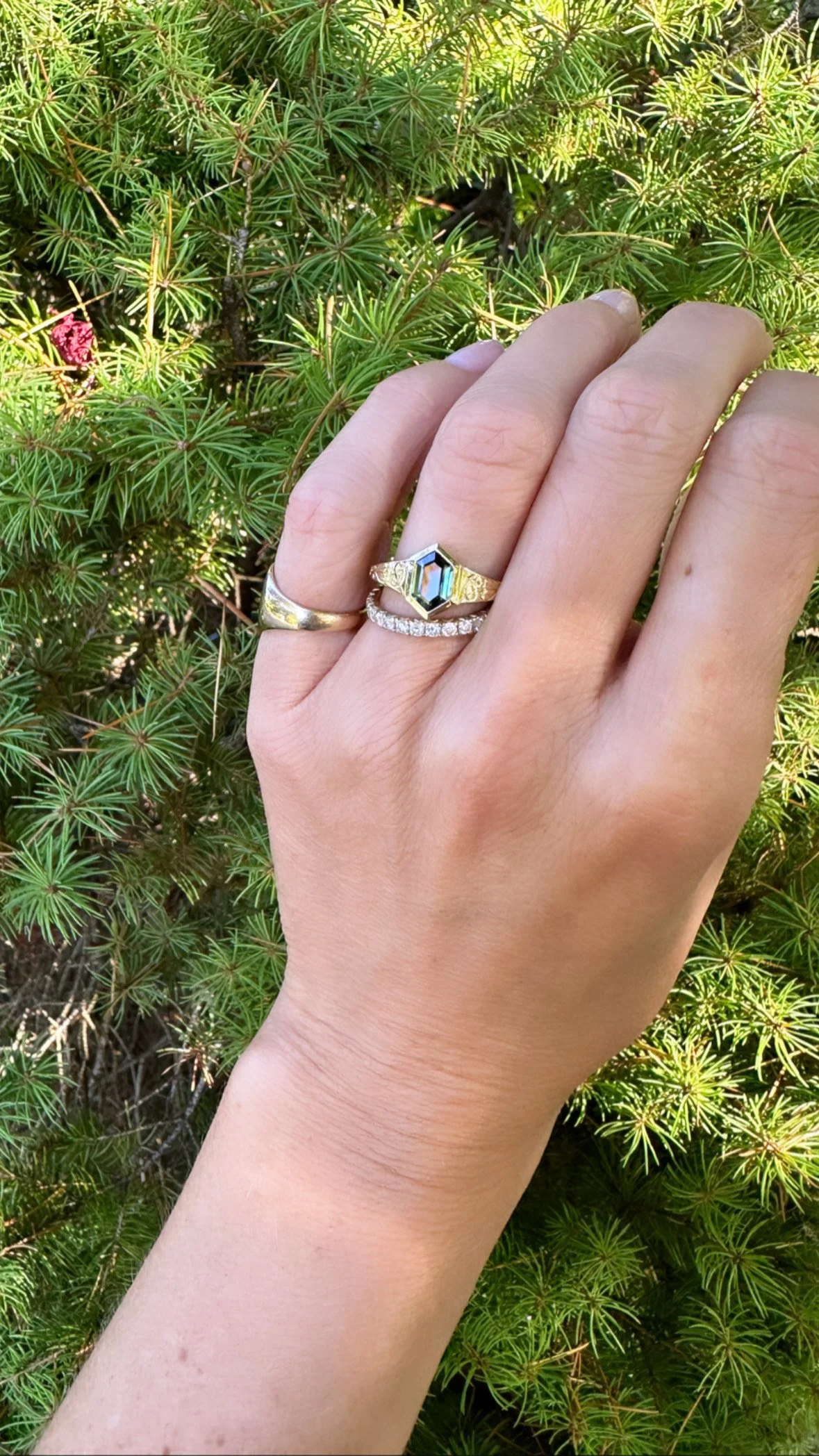 green wren gallery pic(2).JPG