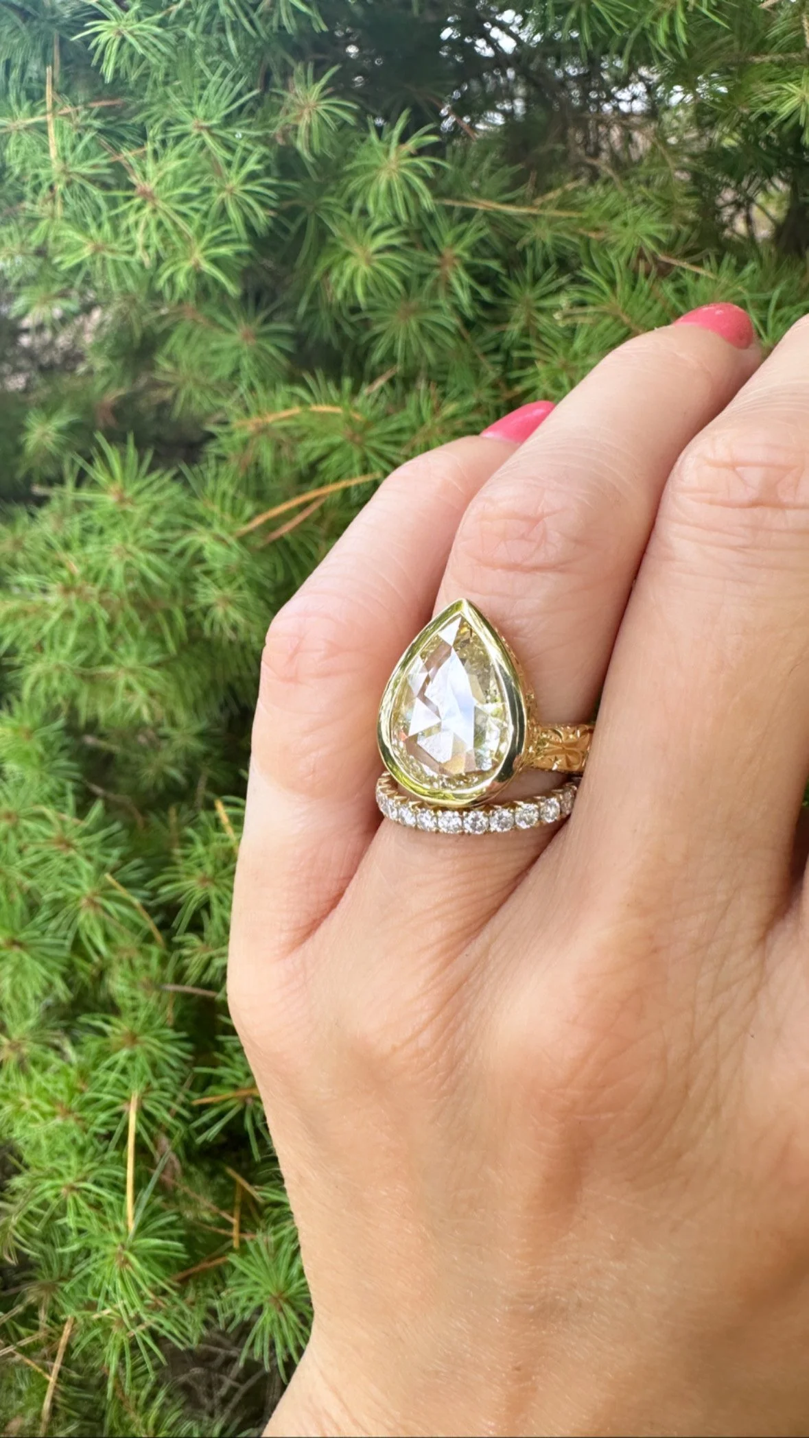 Glorious pear gallery pic.JPG