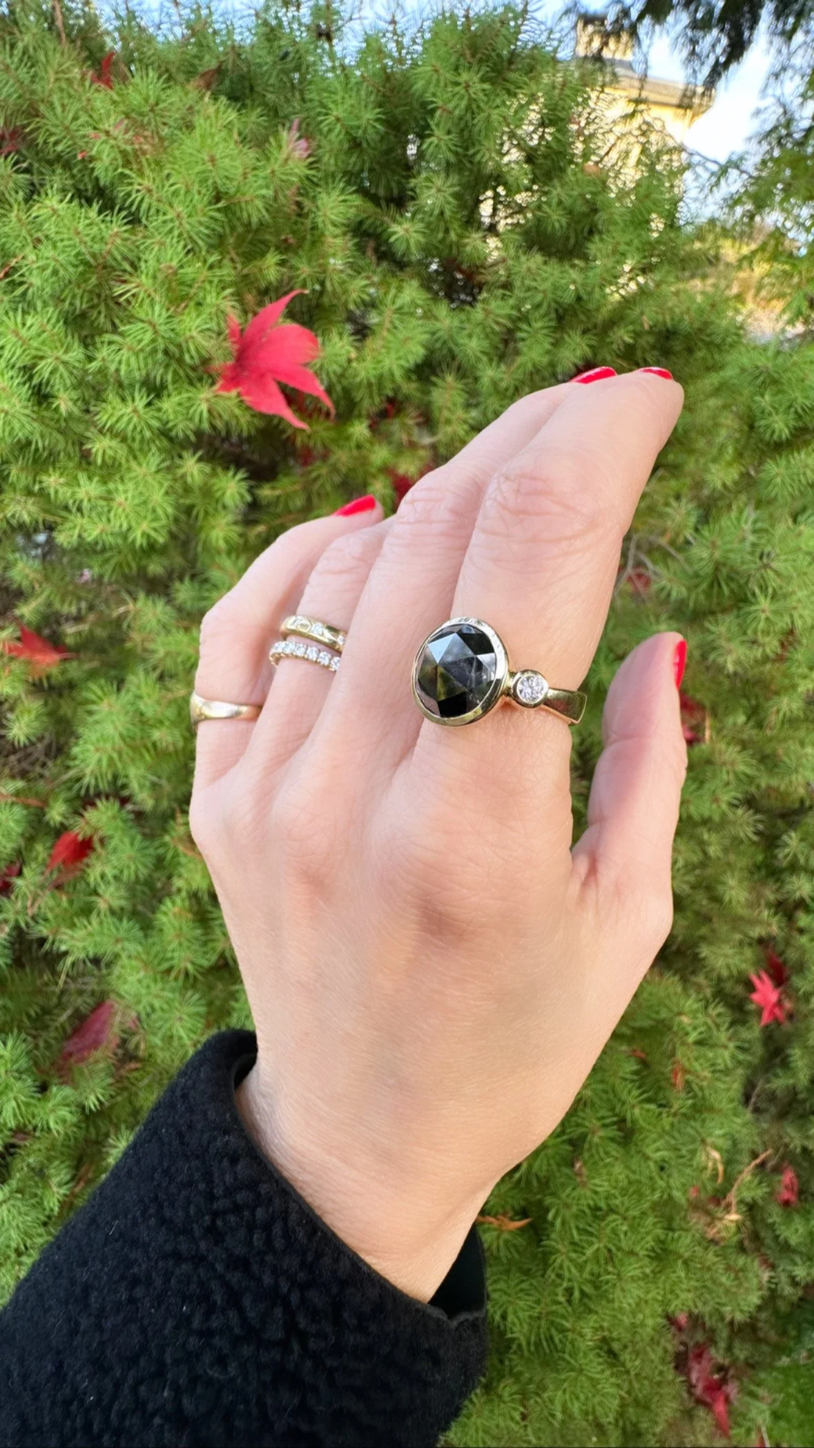 Rowena hand side main gallery .JPG