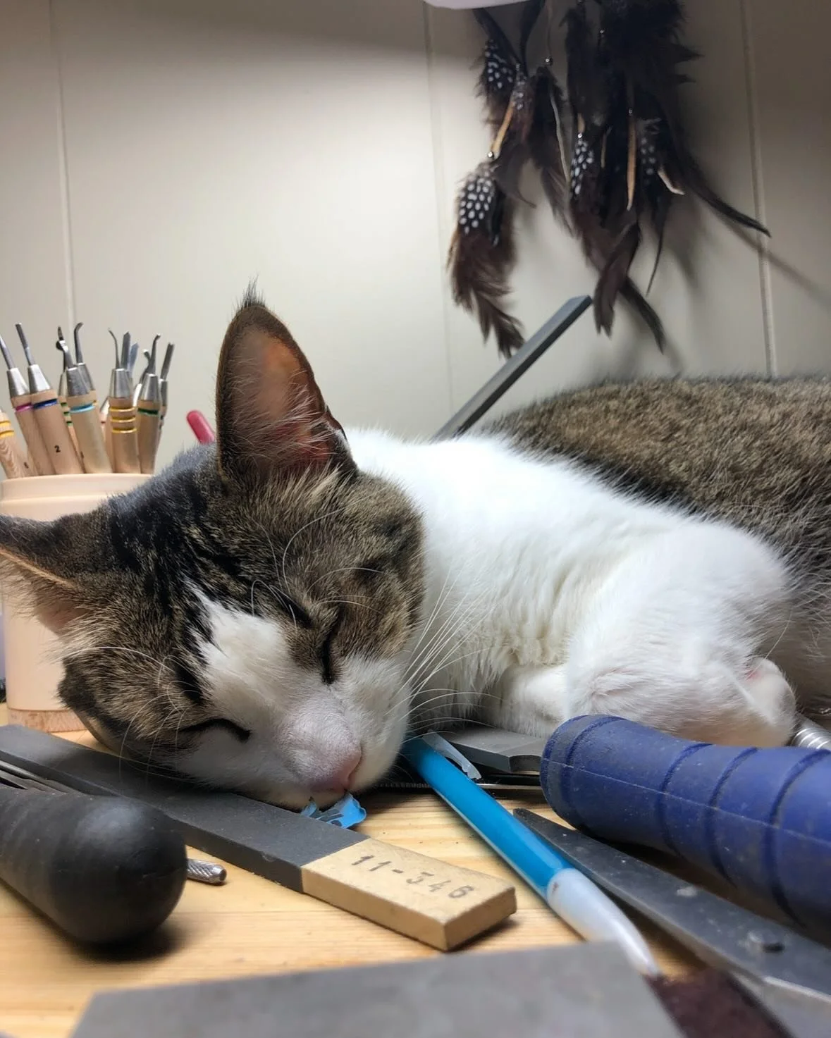 My little Magic died last night. He&rsquo;s been sick so I was a little prepared, but of course never prepared for how it actually feels now that he&rsquo;s gone. He was the sweetest boy. Just so relaxed and easy going. My kids love it when I make up