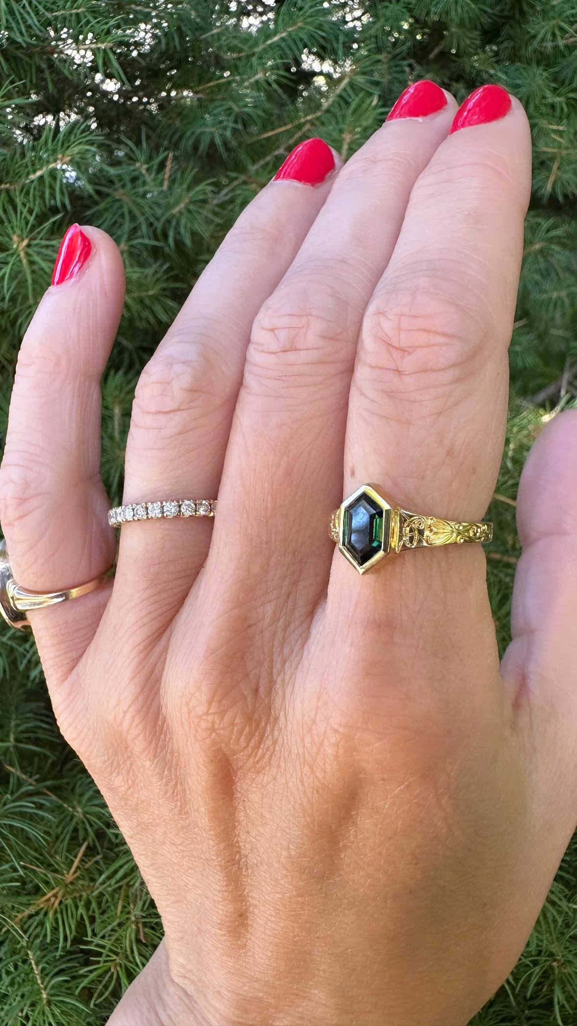 classic wren hand pic.JPG