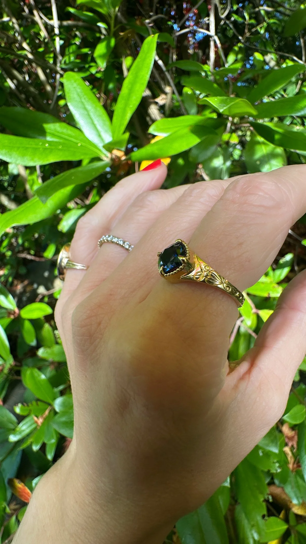 Isabel hand shot 1.JPG