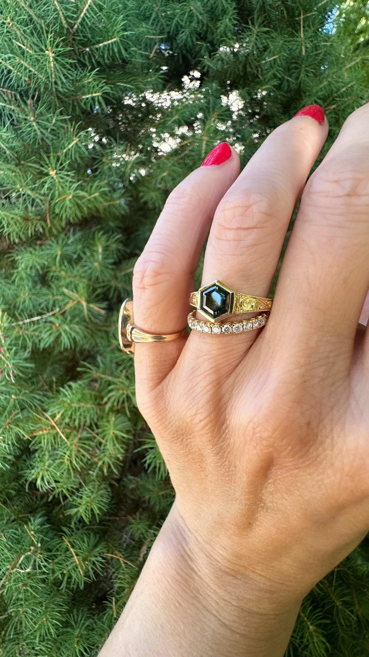 Wren trad scroll hand pic 1.JPG