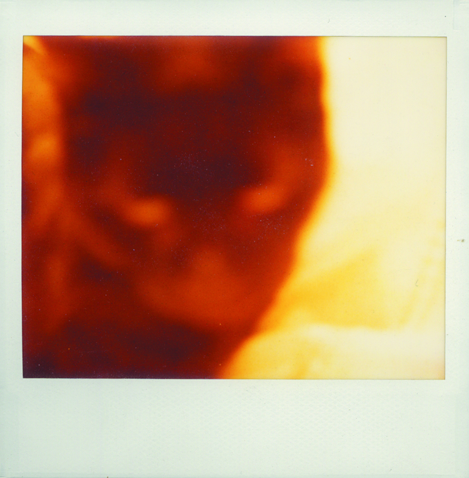 Barbarian (red)    polaroid  10.5 cm x 10.2 cm  &nbsp; 