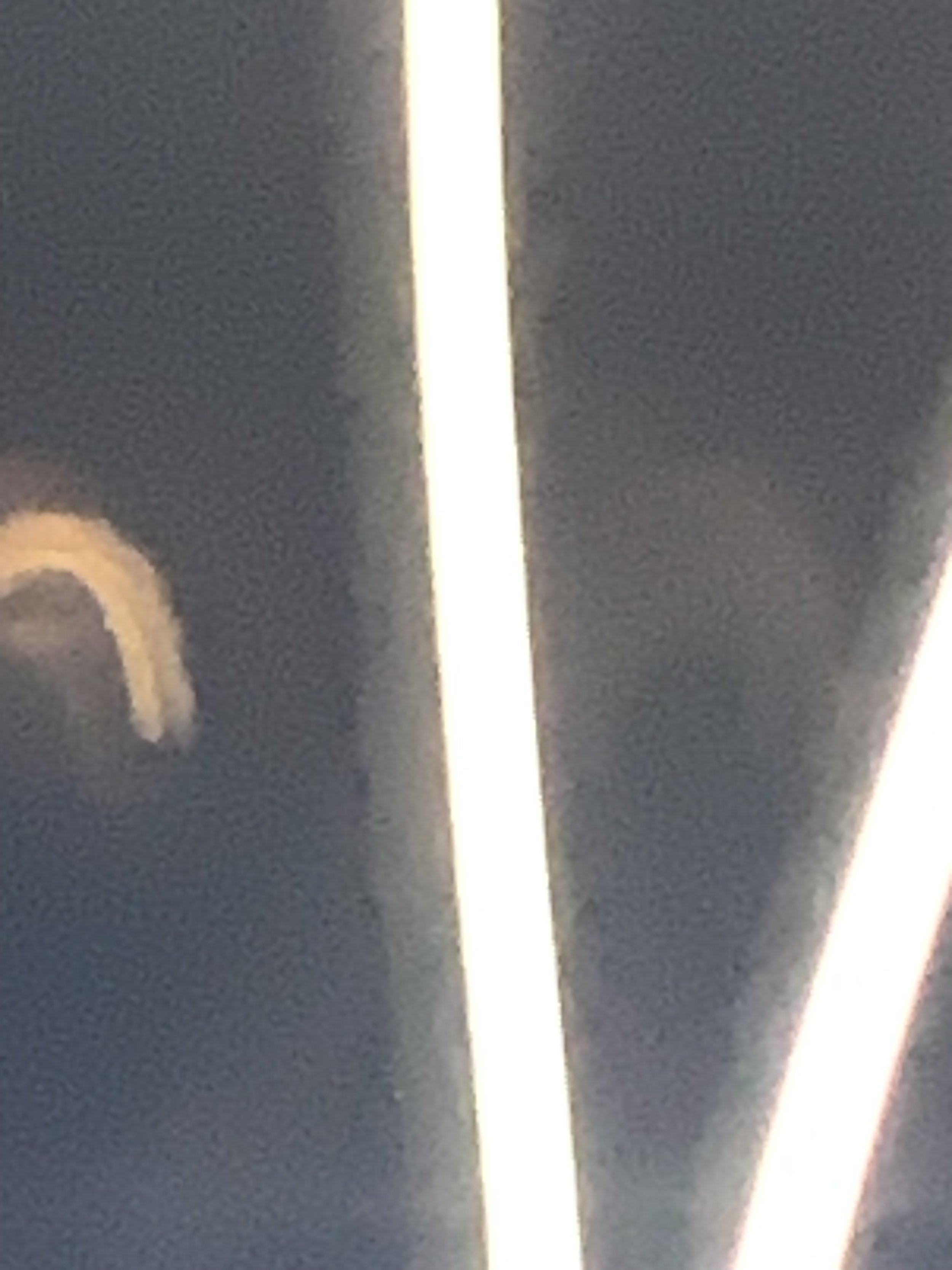 Waxing Worm Moon digital