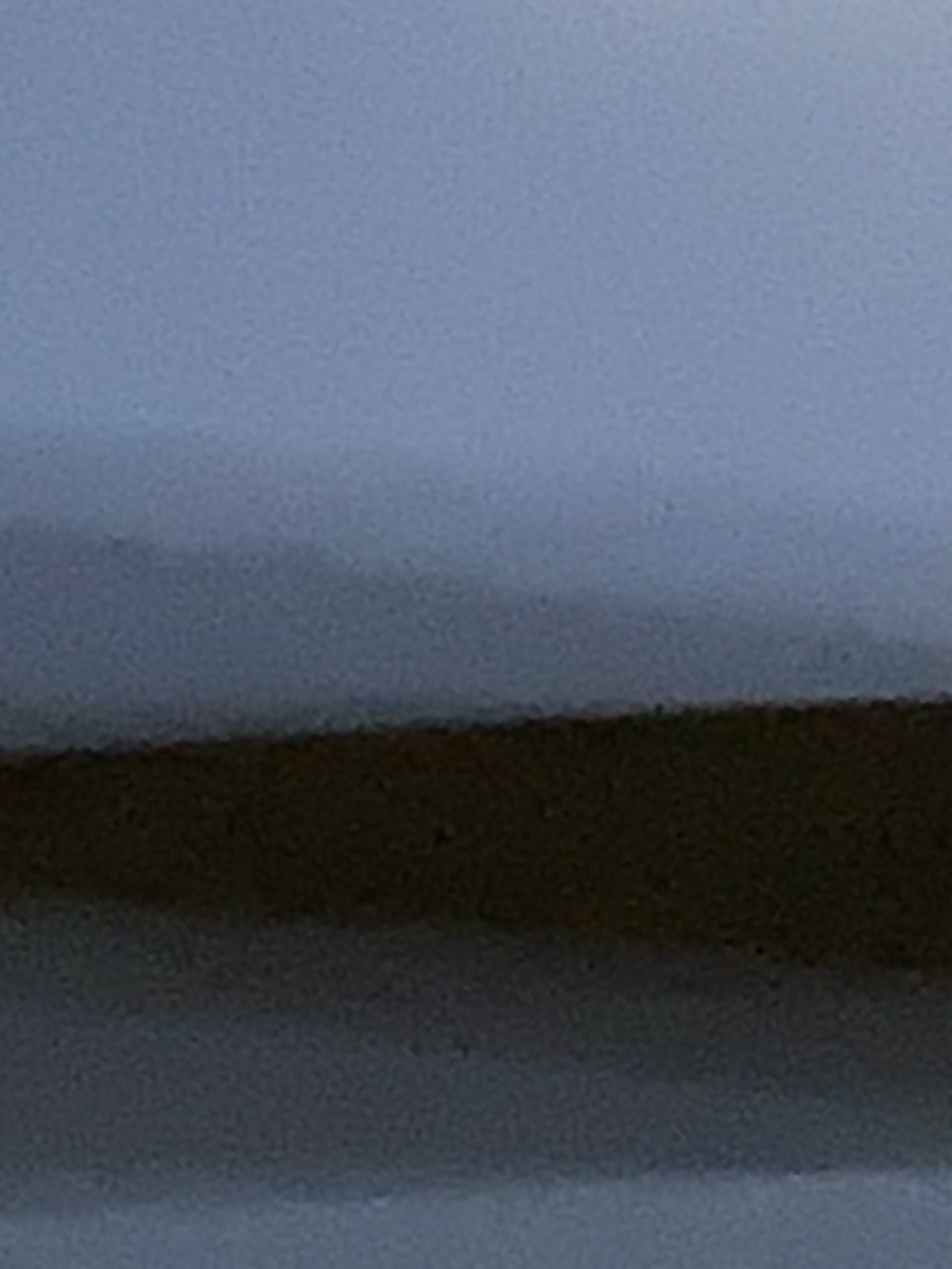 IMG_8199.jpeg