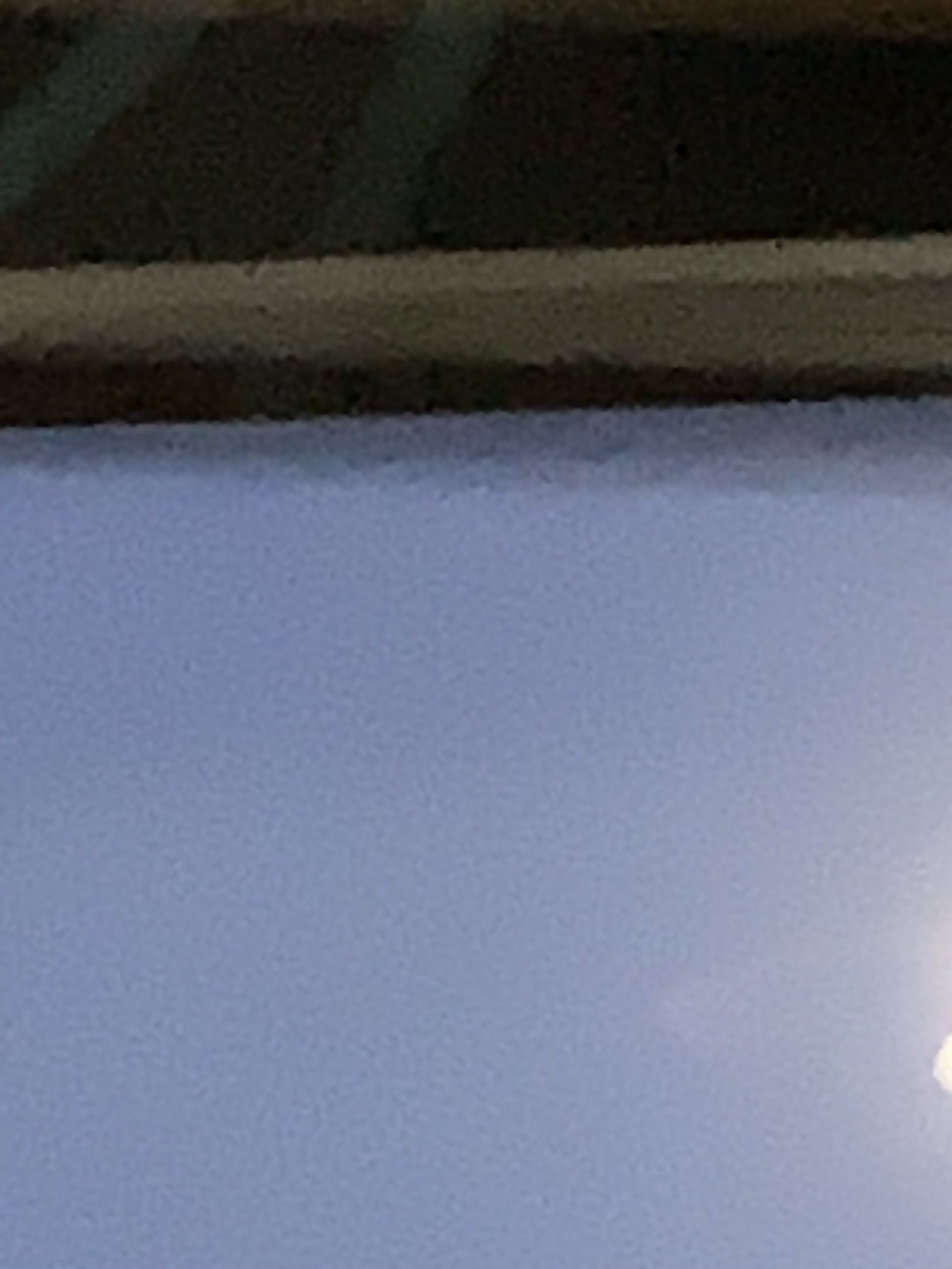 IMG_8180.jpeg
