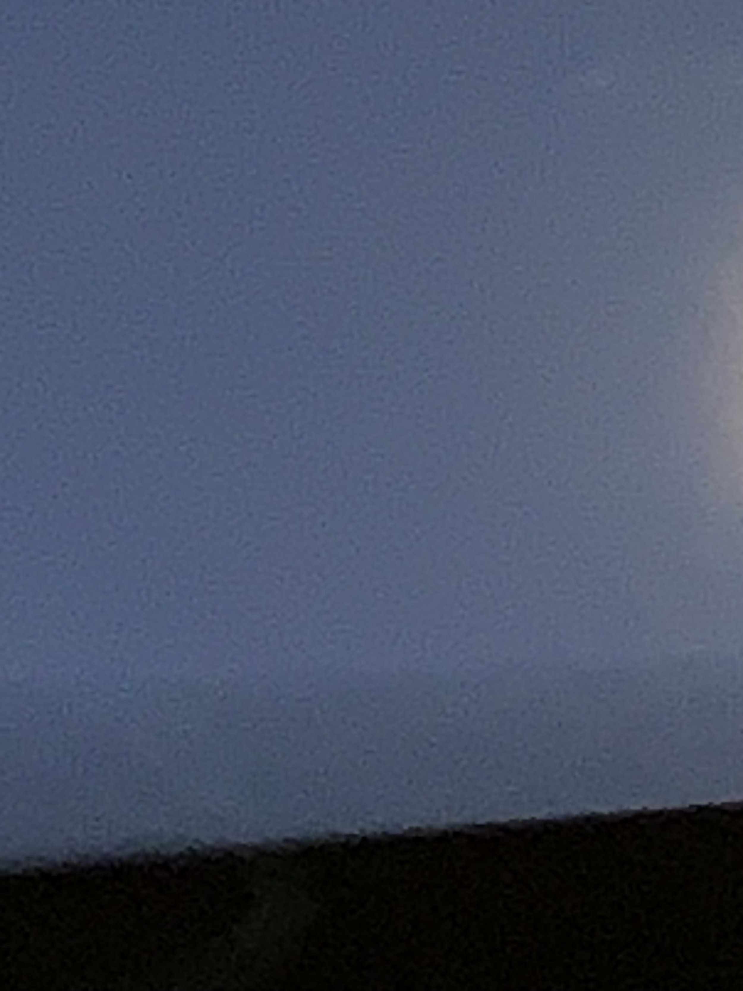 IMG_8137.jpeg