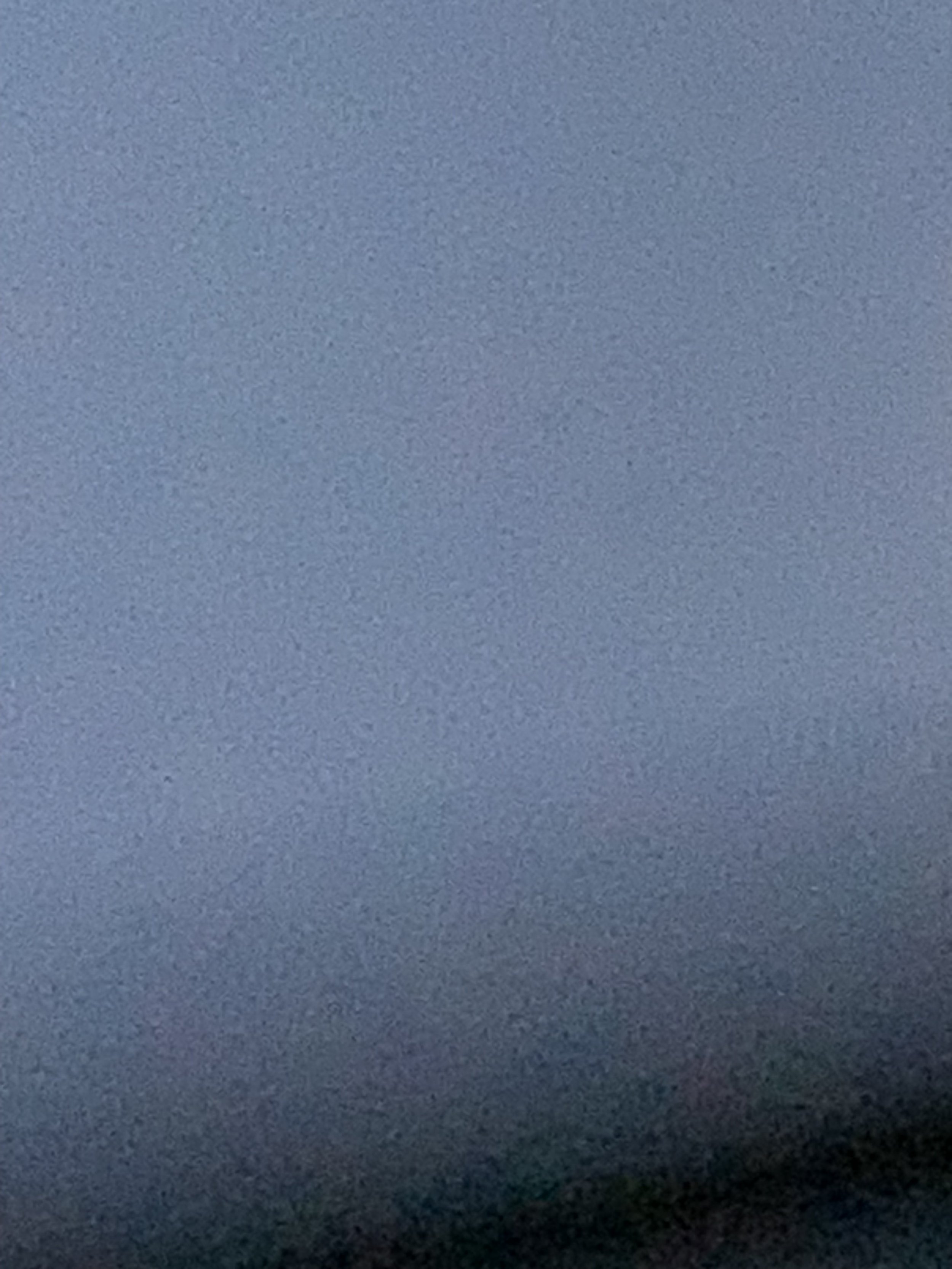 IMG_7931.jpeg