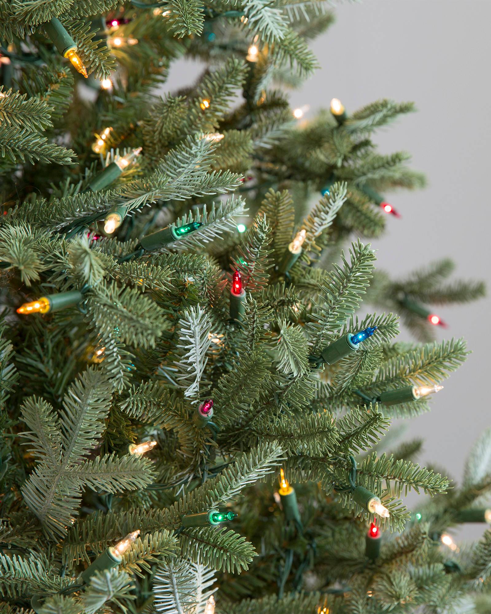 Copy of Colorful De-Lights