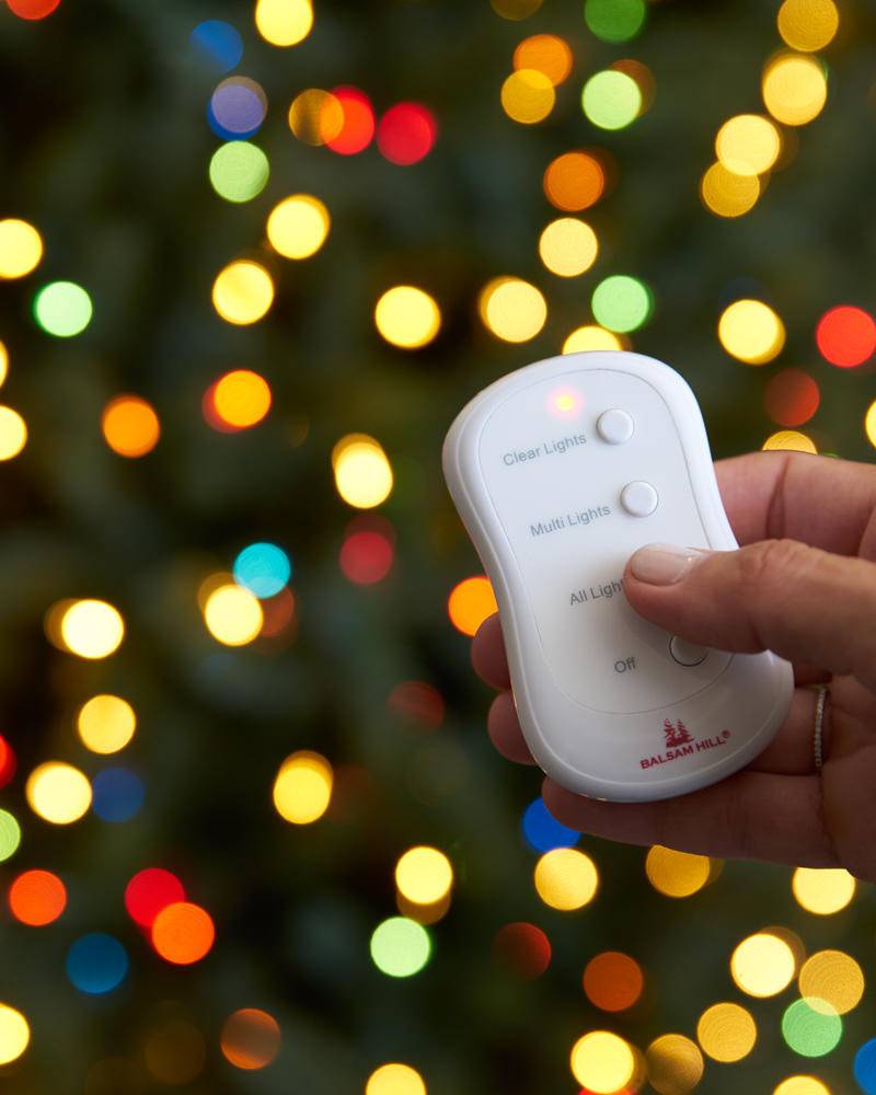 Copy of Remote Control Multi-colored Lights