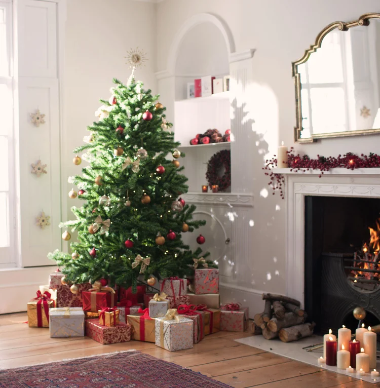 Christmas Trees — Polygroup