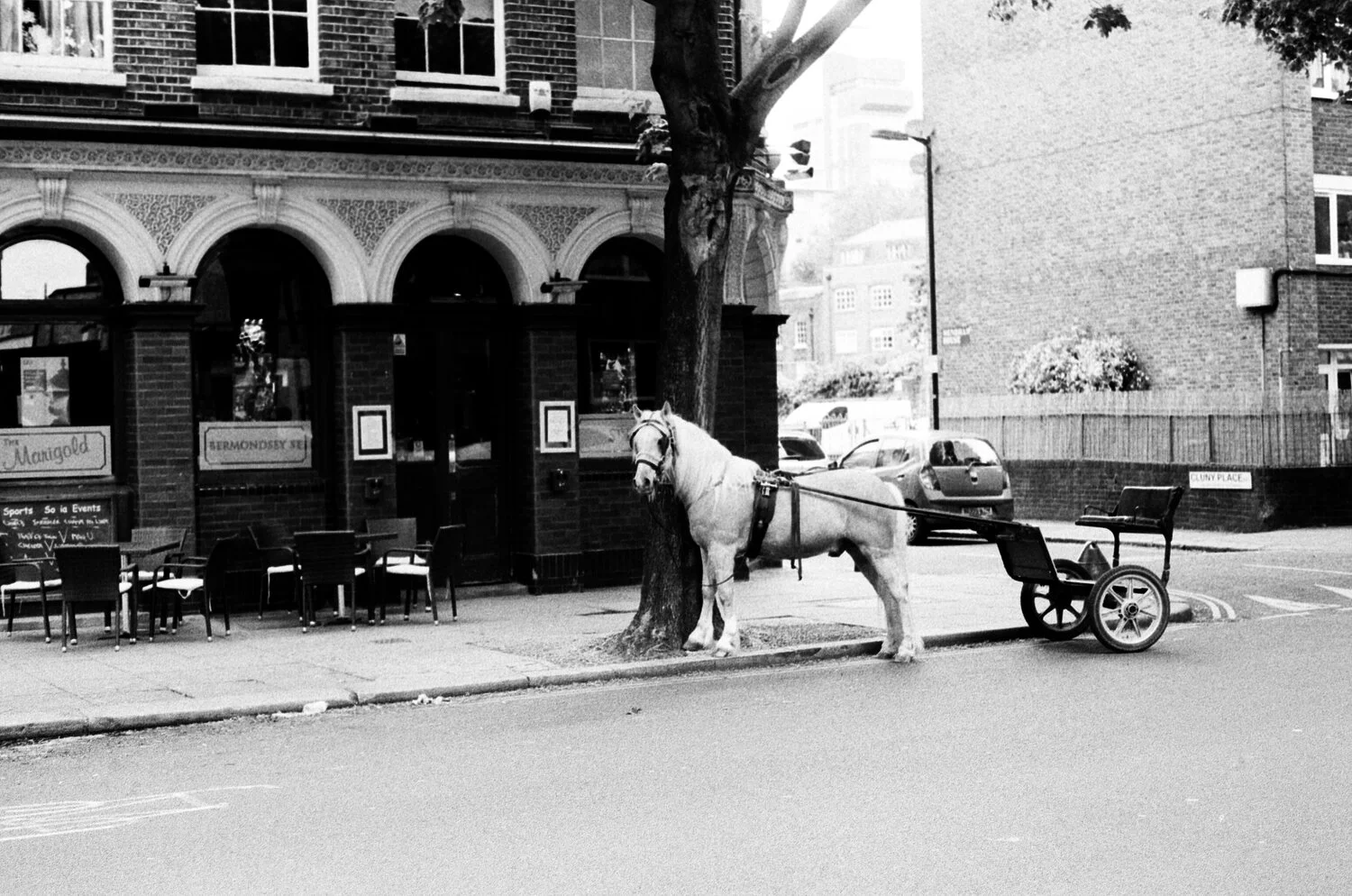 Ilford HP5 Roll 7 - May and August 2019