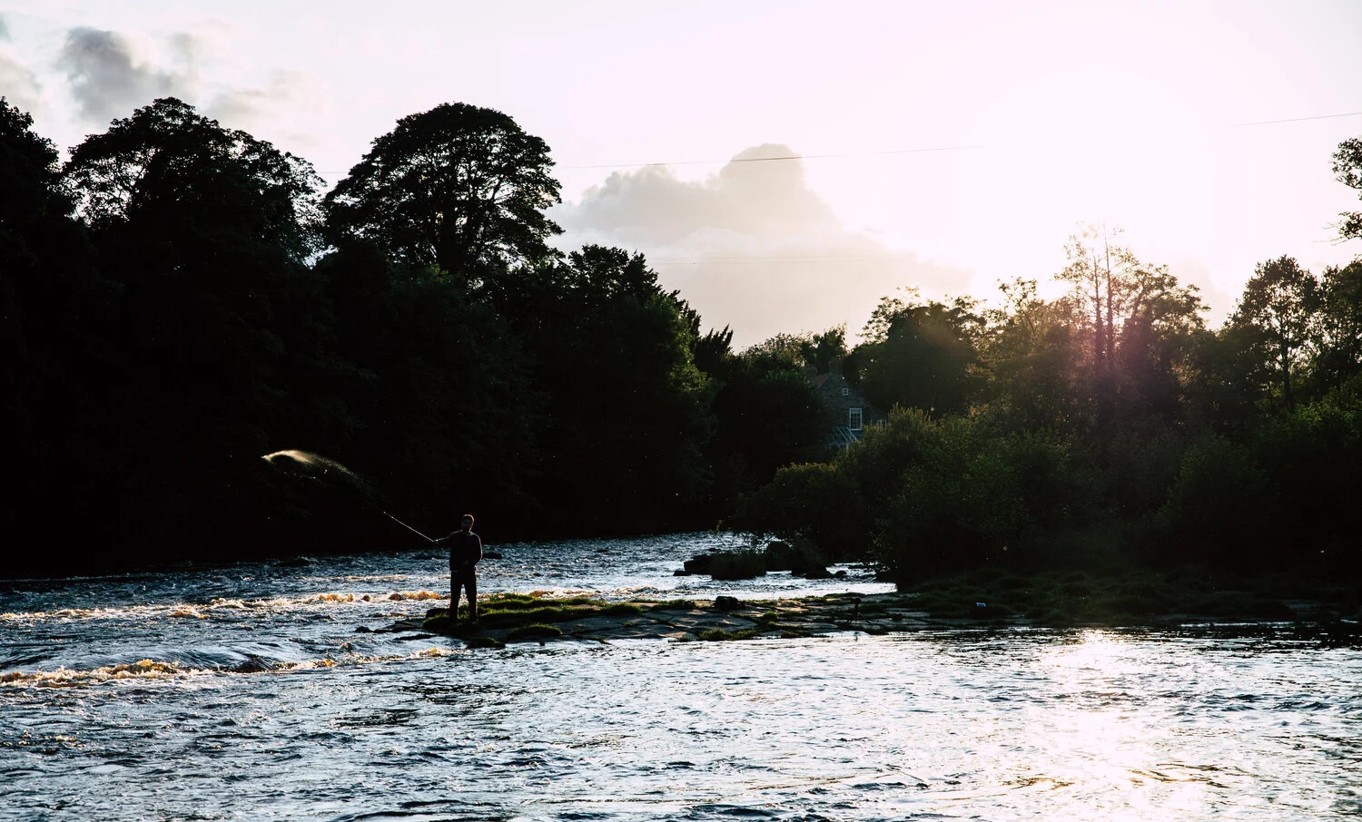 Digital Photography - August 19