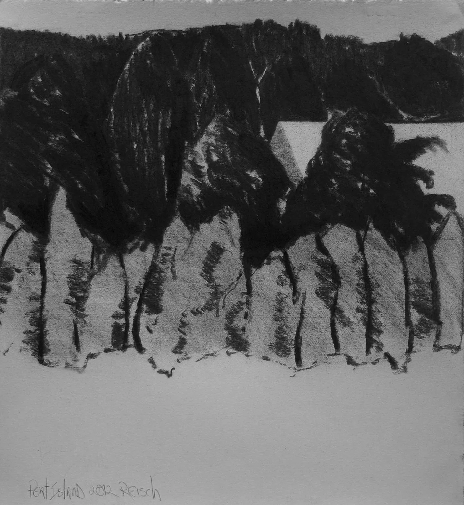 Peat Island drawing -2015-charcoal/paper -41x38cm