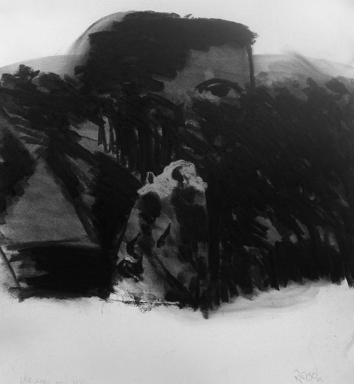 In search of Icarus - 2015-charcoal/paper -41x38cm
