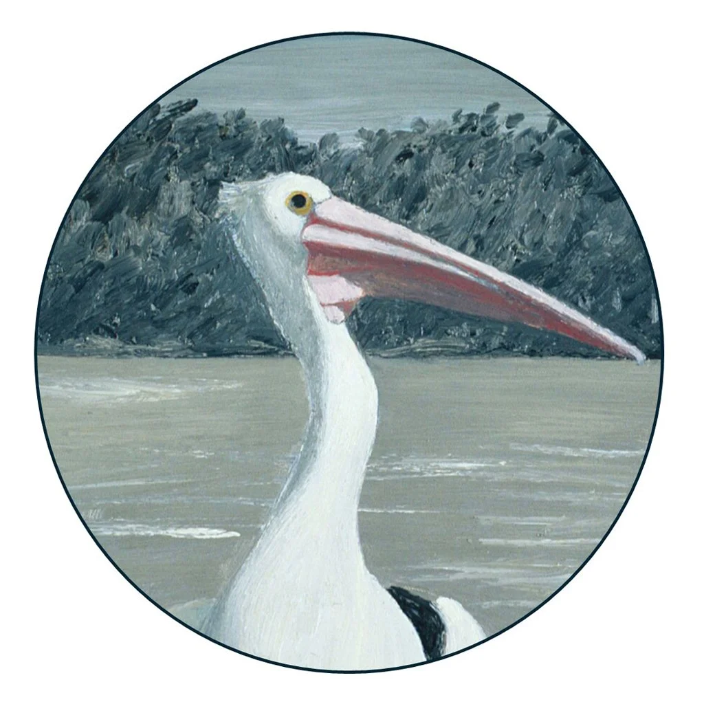 Disc--Pelican-study.jpg