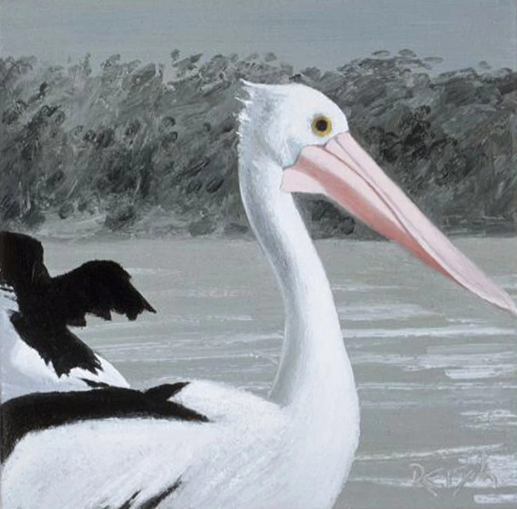 PELICAN STUDY6 2003.jpg