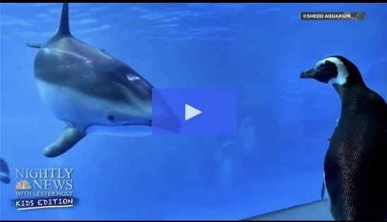 Need Help Breaking Down the World's Events for Your Kids?