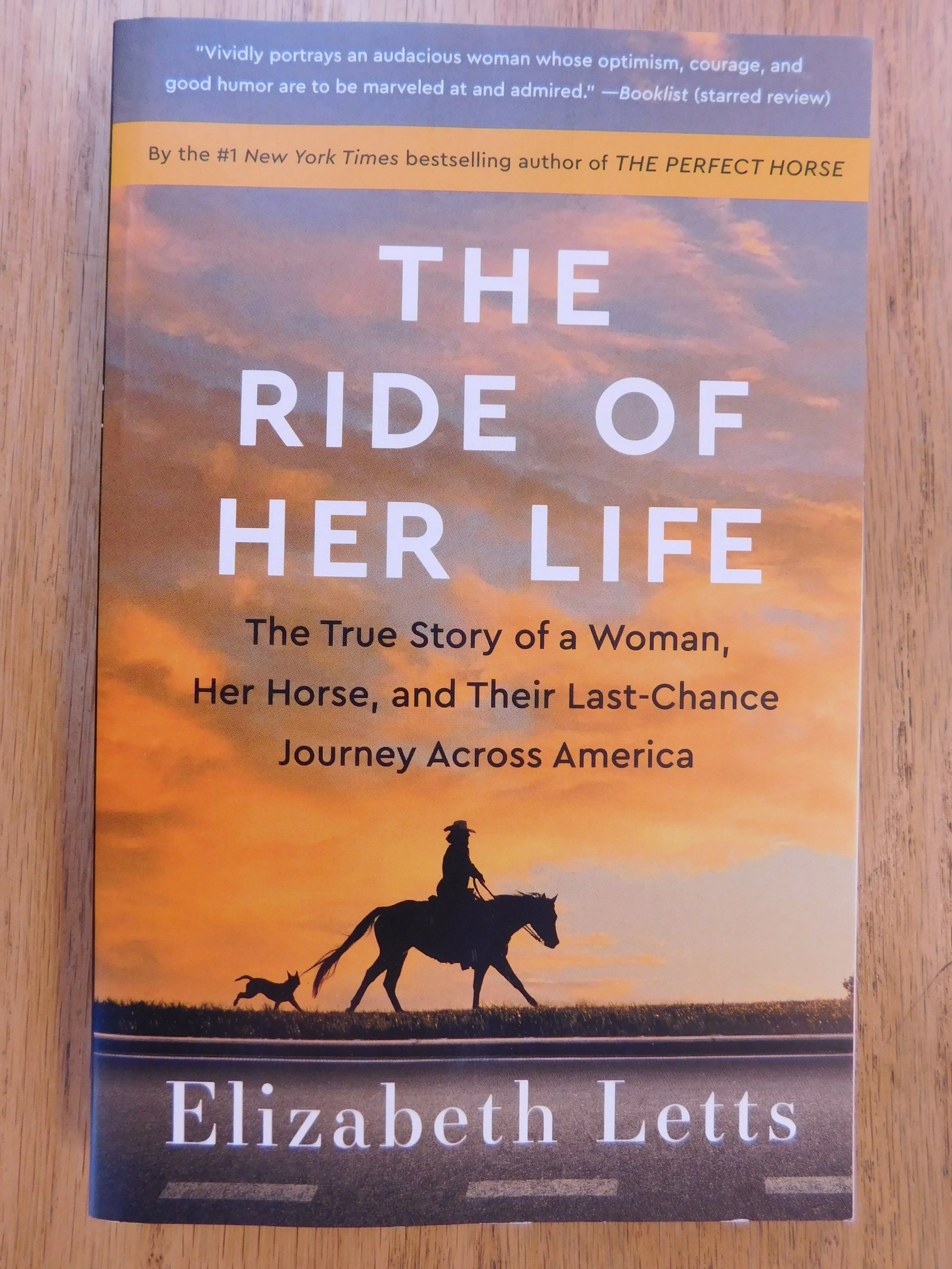 Some New Books for August!