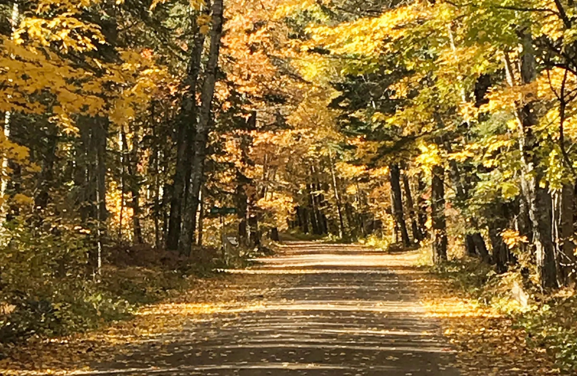 autumn+road+banner+WEB2+WR.jpg