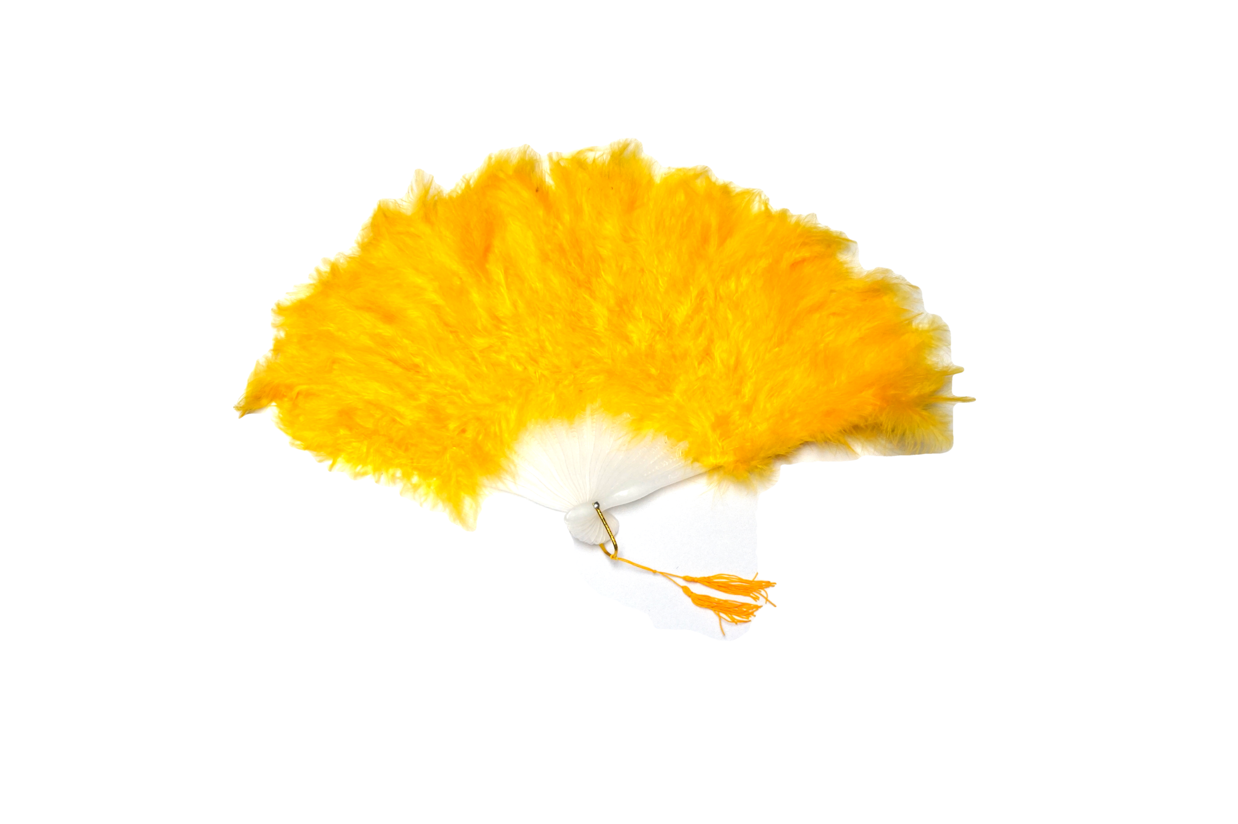 DSC02800.png