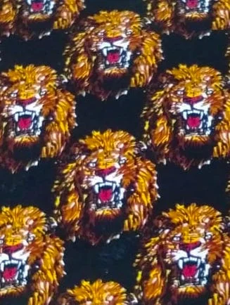 WhatsApp Image 2019-02-10 at 6.11.56 AM (3).jpeg