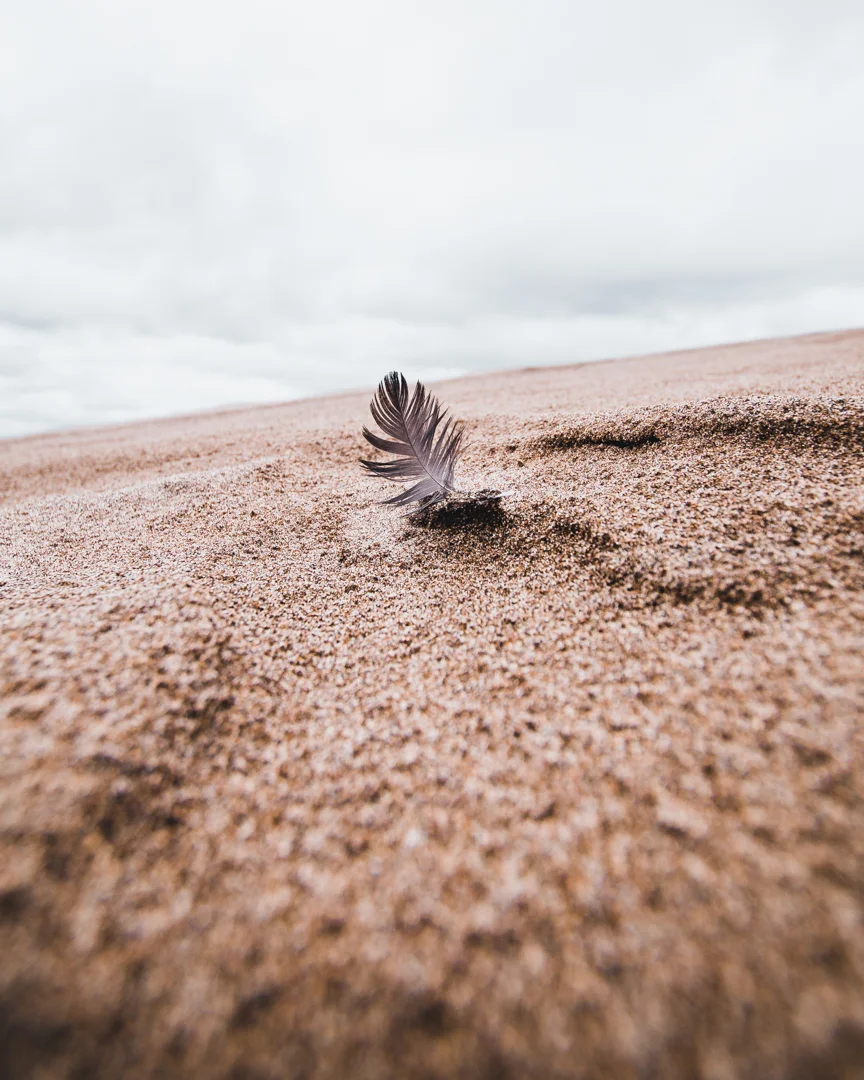 Great Sand Dunes