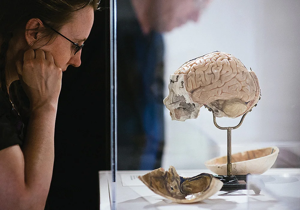 Improving public neuroscience literacy to foster brain health and to remove the stigma associated with mental illness.