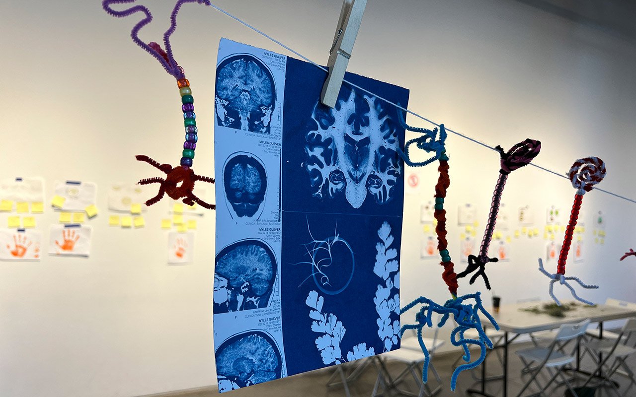 THE_BRAIN_OBSERVATORY_NEURONS_ECTOGRAPH_CROPPED.jpg