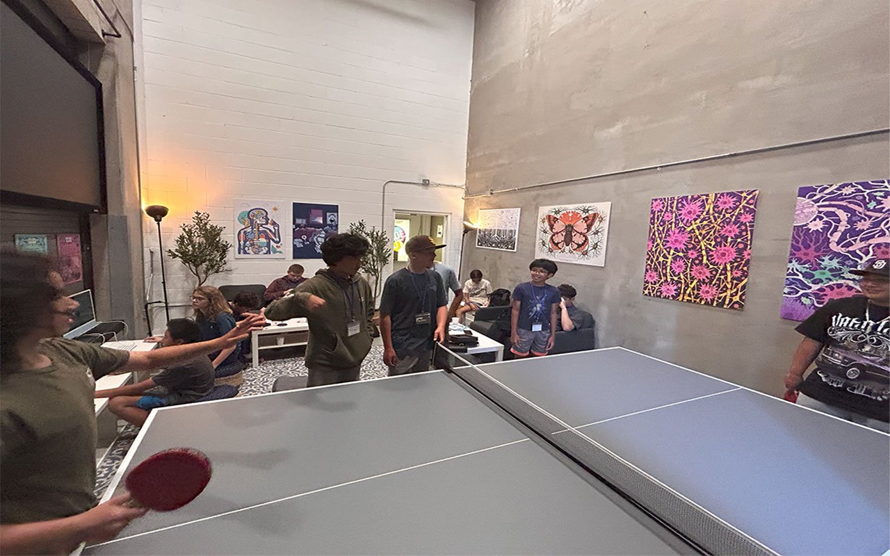 THE_BRAIN_OBSERVATORY_ping_pong.jpg