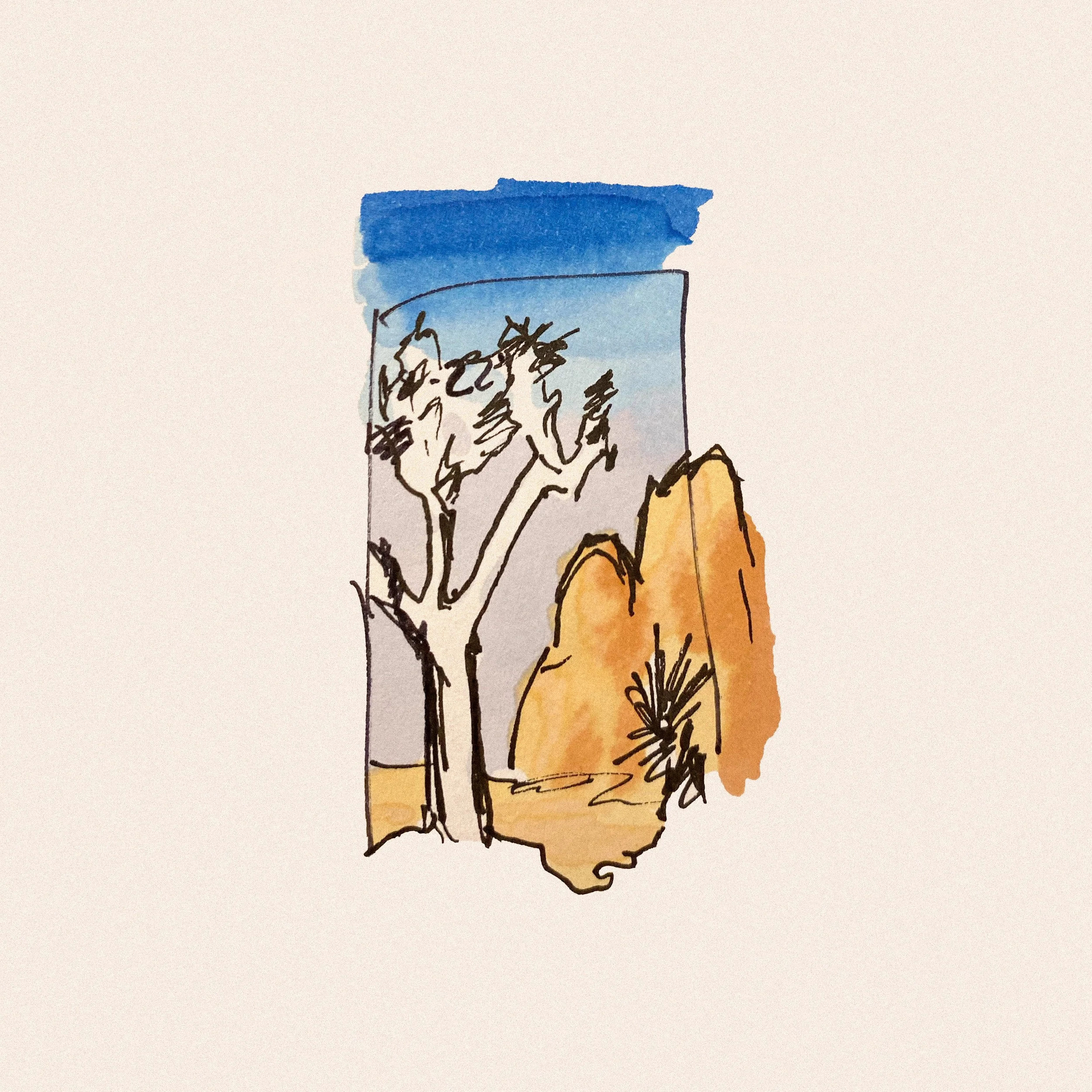 joshua_tree_sketch_sq4.jpg