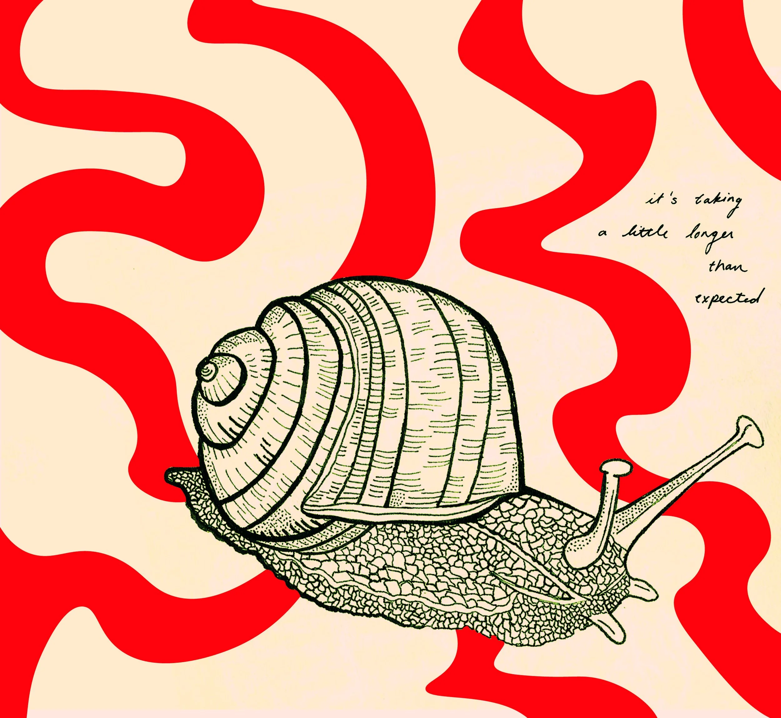 snail2.jpg