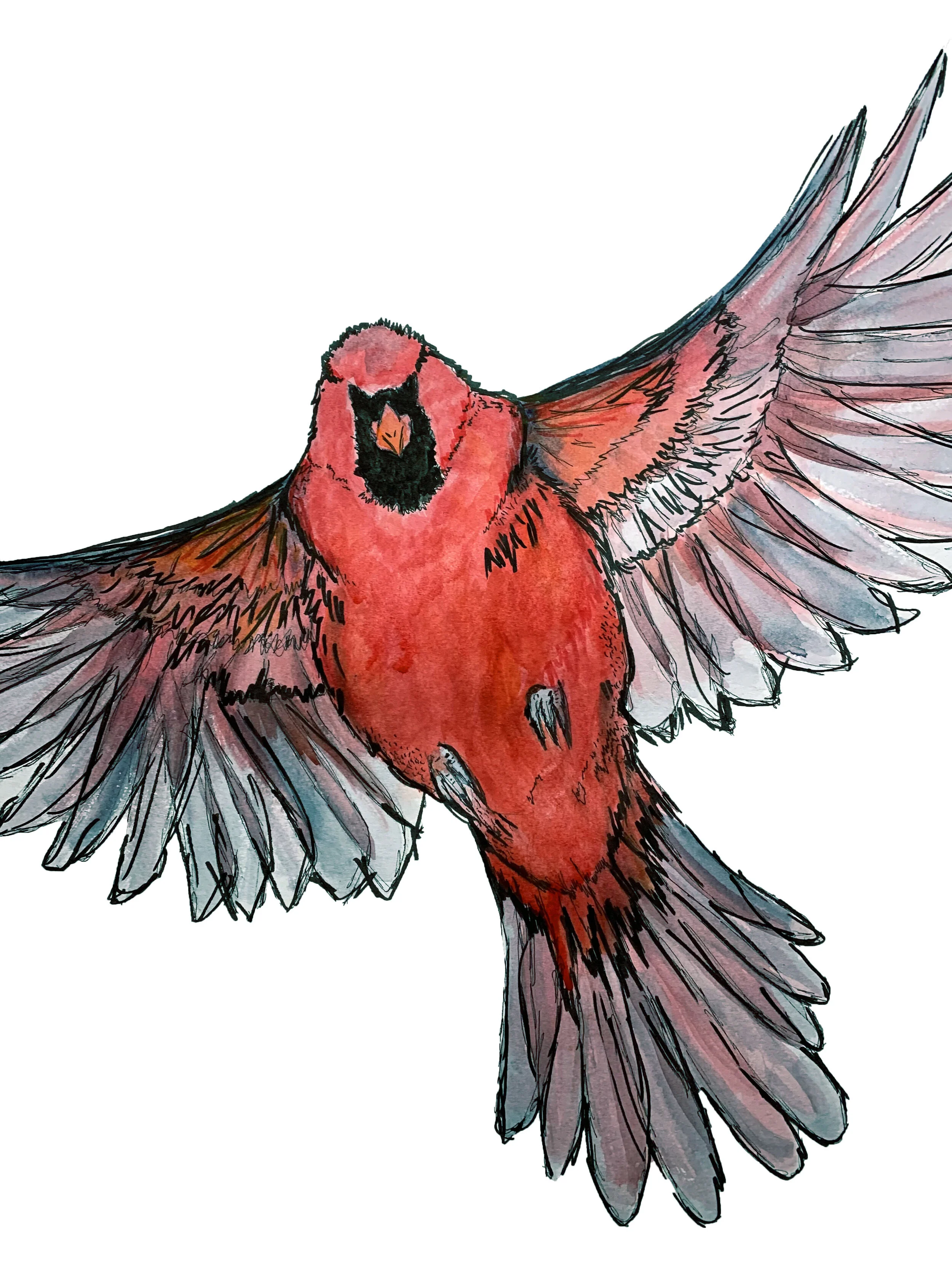 "WINGS" - WATERCOLOR/INK