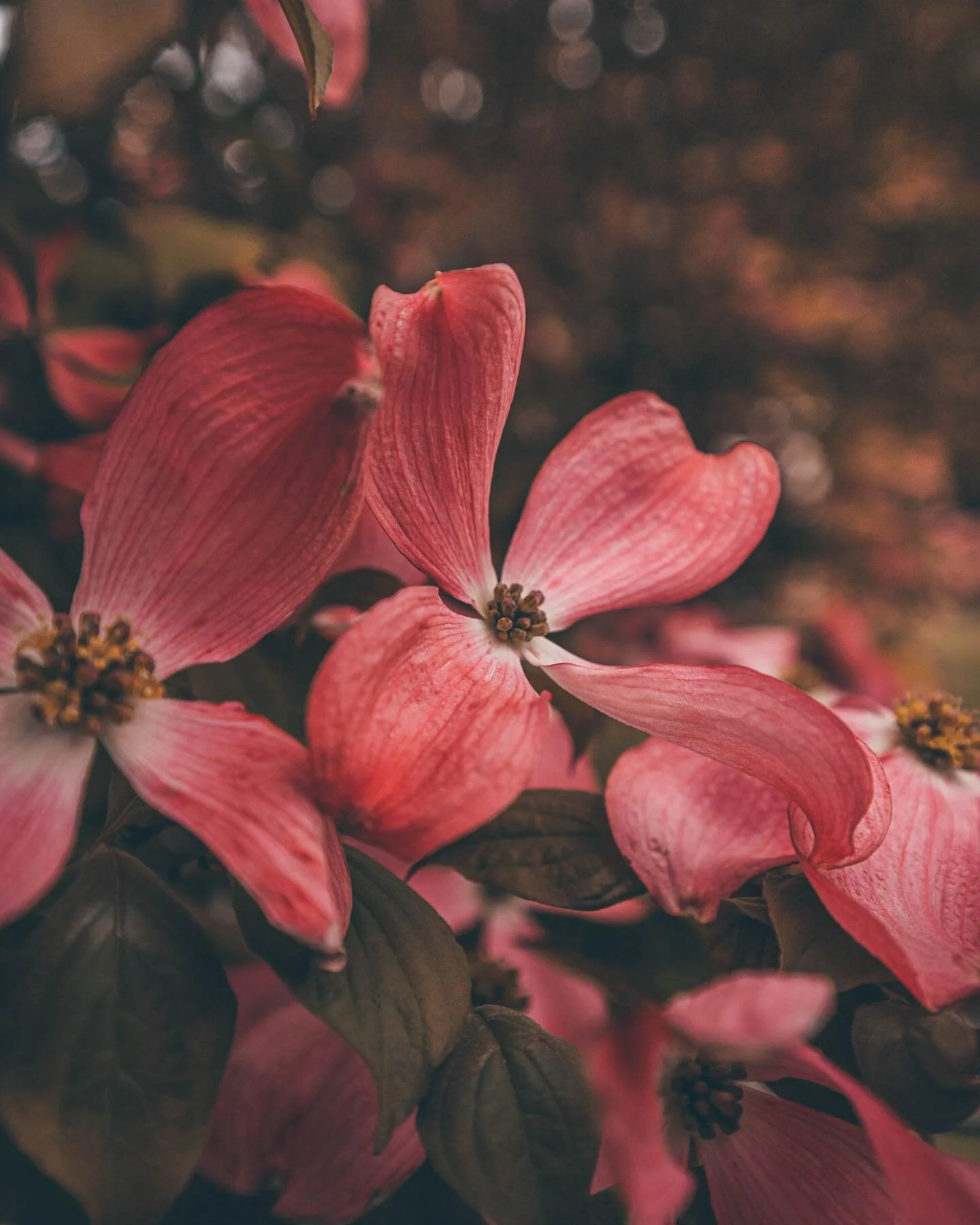 Keep protesting. Research where you&rsquo;re donating &amp; keep doing that. hold murderer cops accountable for their actions. call. email. if you can&rsquo;t donate money, i have contact info for people accepting supplies for the protests &amp; rall