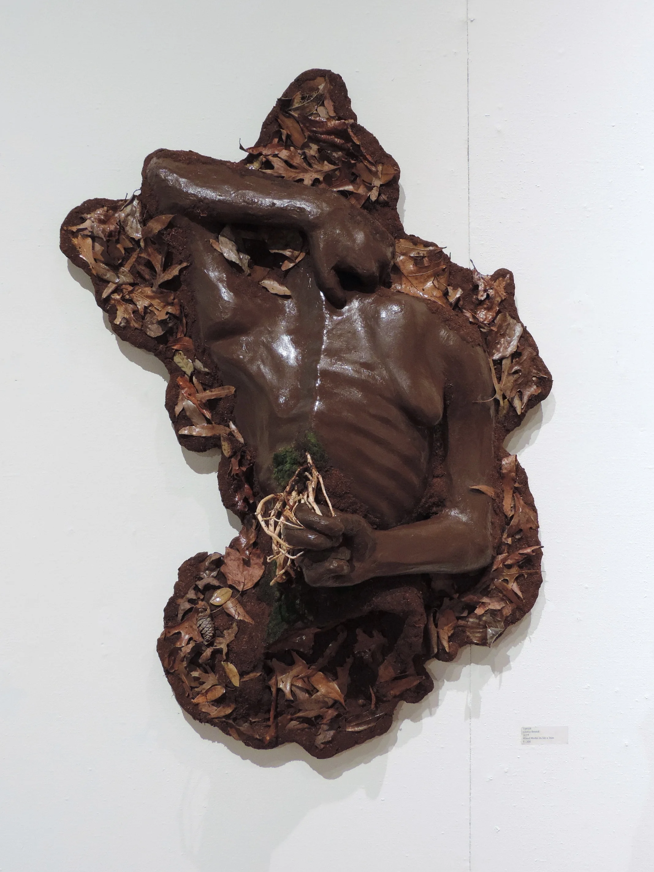    Uproot     Mixed Media   Spring, 2019 