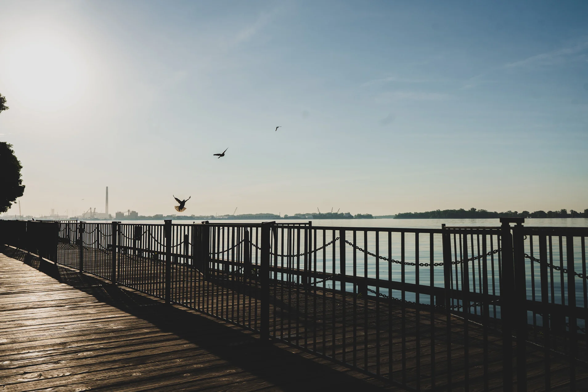 Toronto-29.jpg