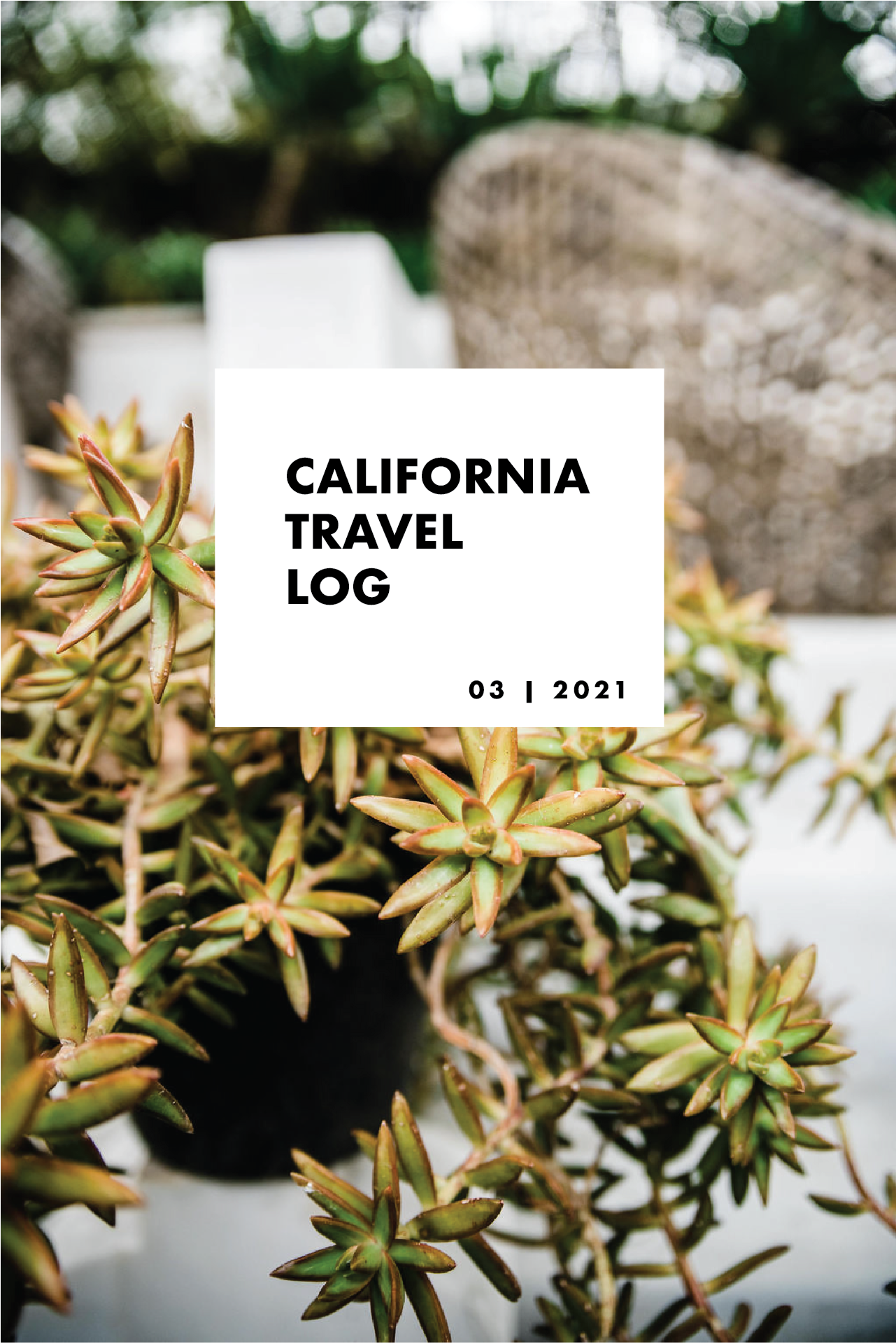 California Travel Log