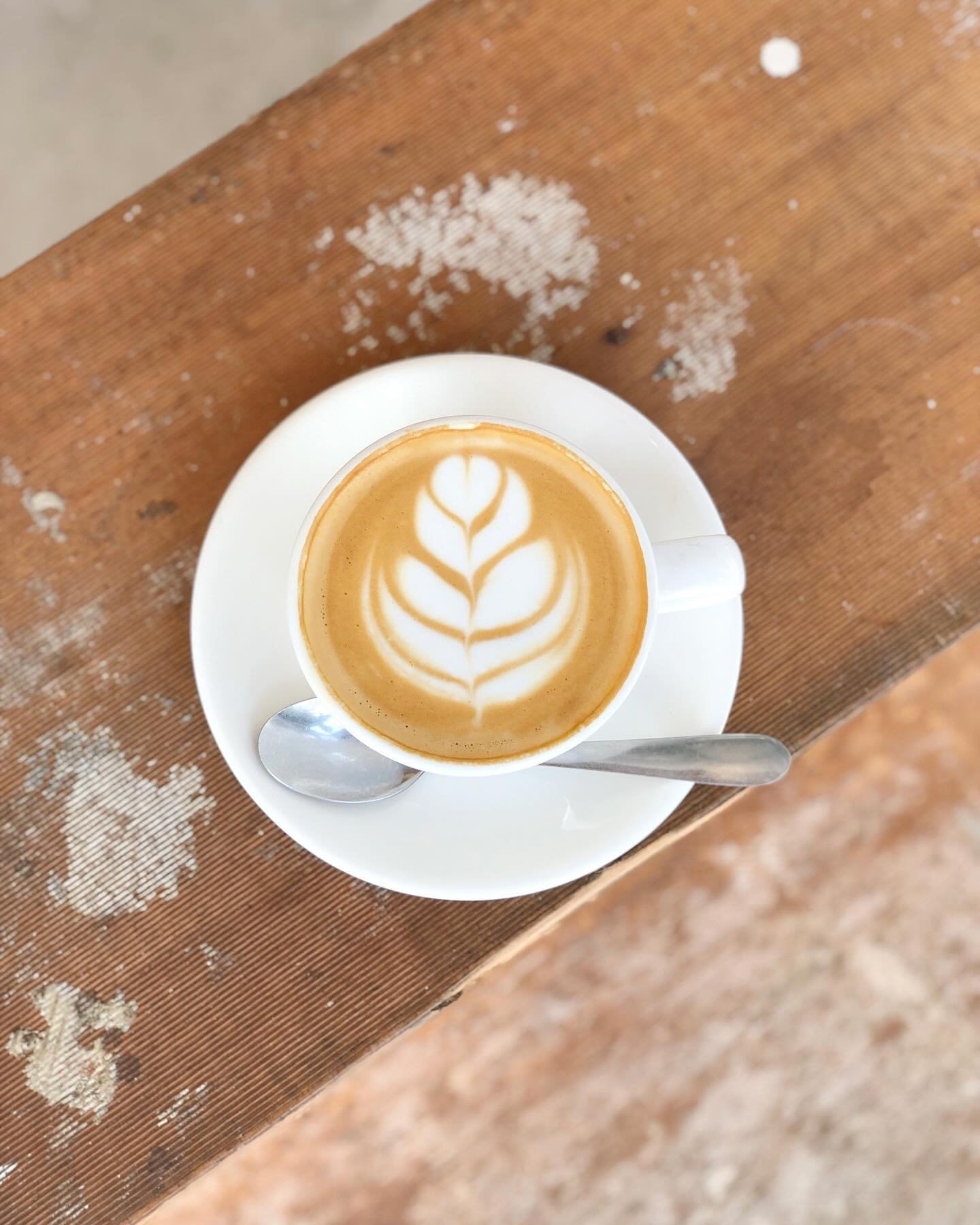 With the mornings becoming more crisp, there&rsquo;s no better way to start the day than with a hot coffee in hand &mdash; made by us with 🤎☕️

Weekdays from 6am-2pm
Weekends from 7am-2pm

📍37 Currumbin Creek Road, Currumbin Waters, QLD