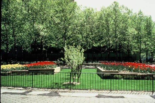 bloomsborough.jpg