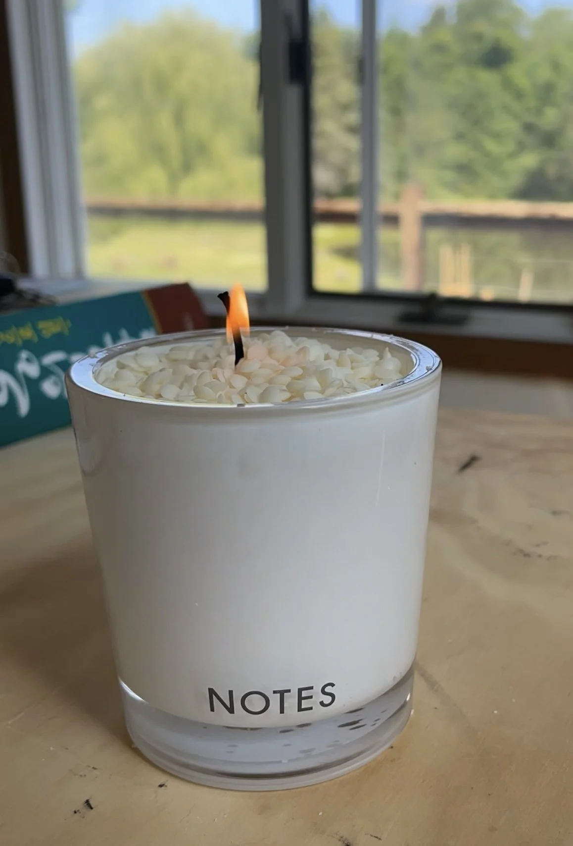 The Best Non-Toxic Refillable Soy Wax Candles: Notes vs. Arbor Made — Sua