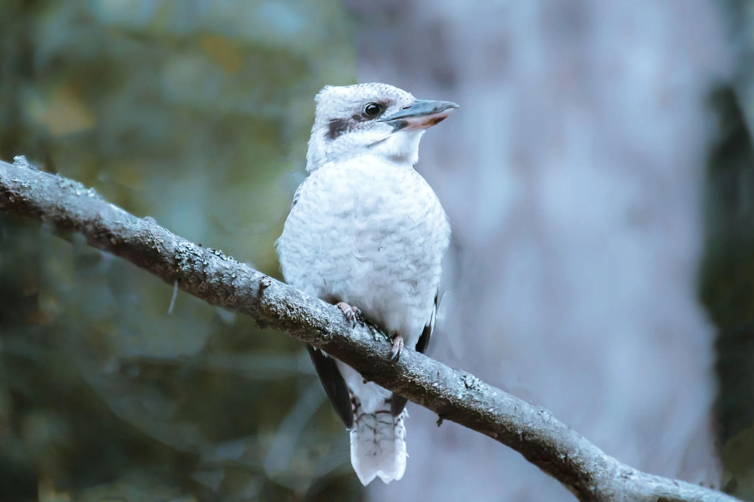 DSC_2990-Edit.jpg