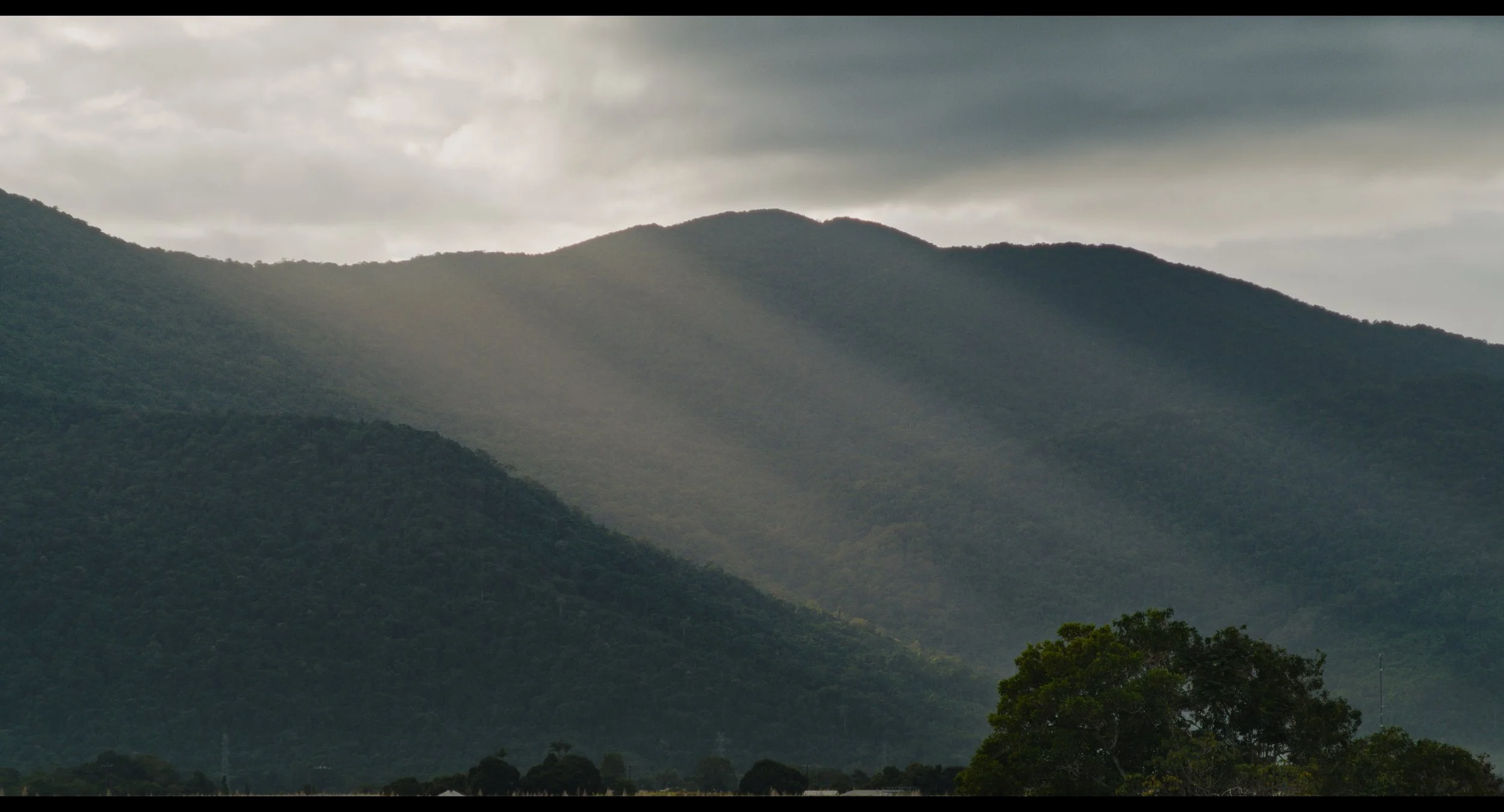STORM_BIRD_ACADEMIC_DCI_FLAT_4K_part01.mov_1.14.1.jpg